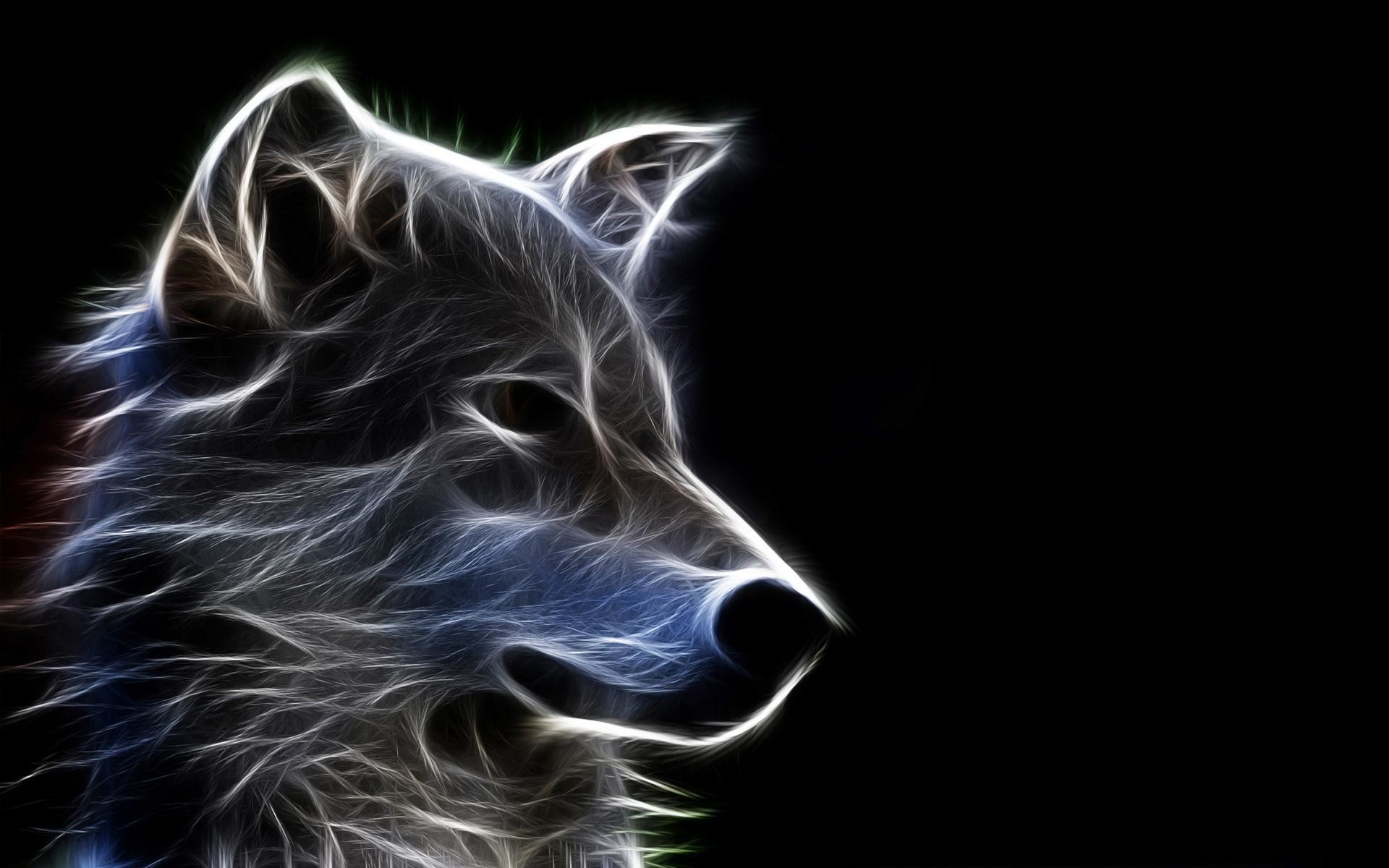 1920x1200 Wallpaper Tags: black white canine nature wild beautiful abstract art furry  wolf dog
