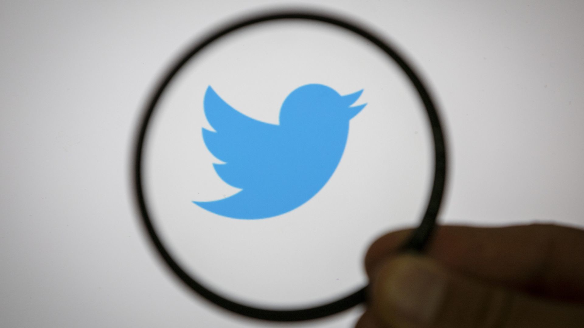 1920x1080 Report: Twitter suspended 1,500 for spreading wrong election date