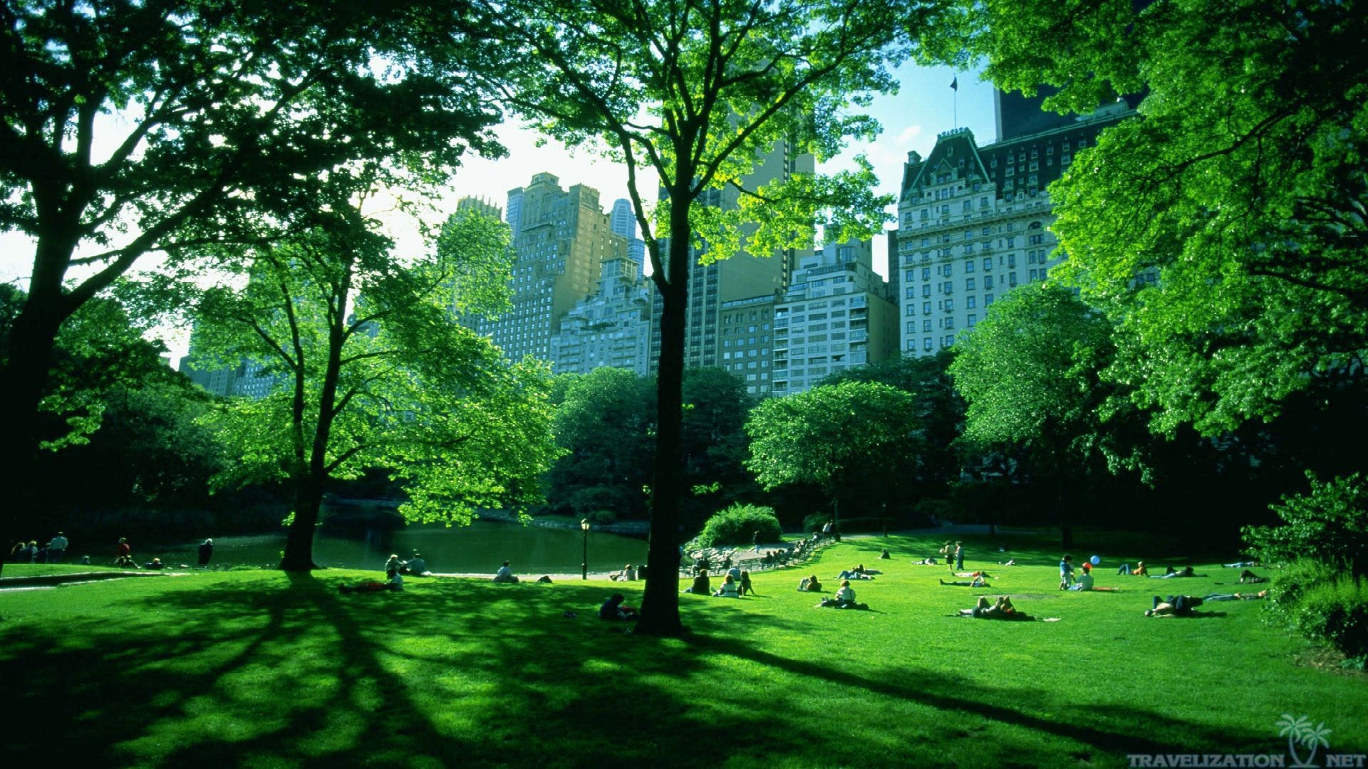 1920x1080 ... 2560Ã1920. Central Park In Winter Season New York Wallpapers