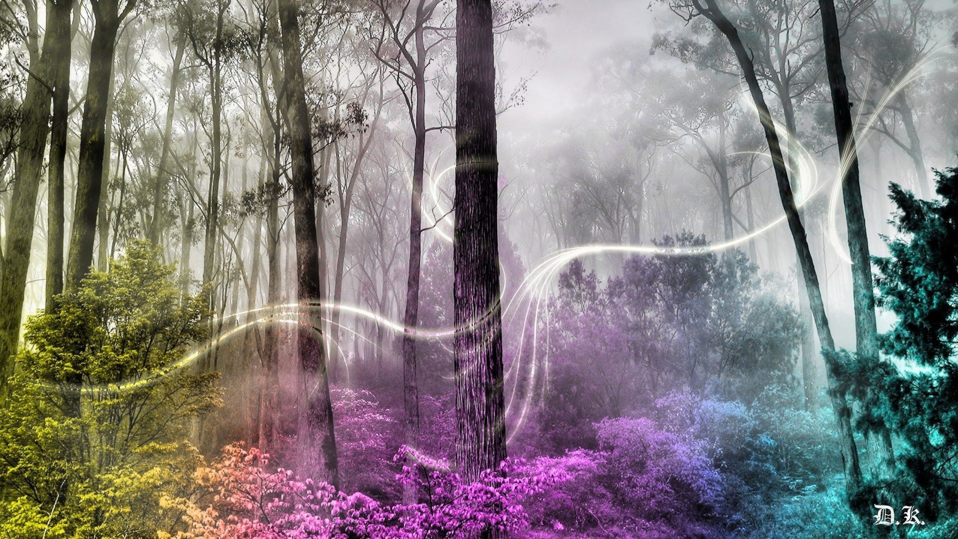1920x1080 wallpaper.wiki-Art-Images-Enchanted-Forest-PIC-WPB006562
