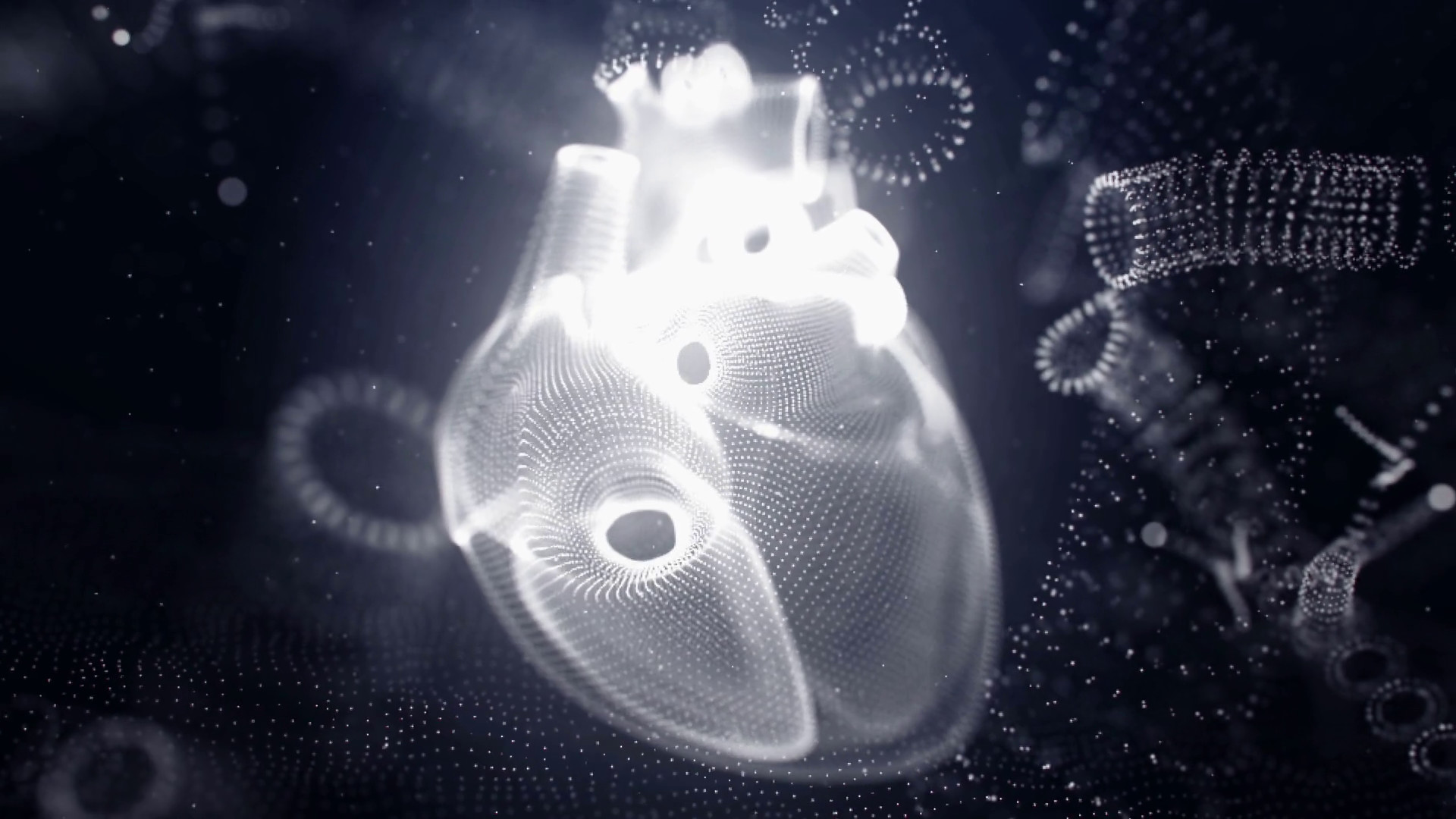 1920x1080 Computer animation of human heart and arteries glowing on black background.  3D visualization of human anatomy Stock Video Footage - VideoBlocks