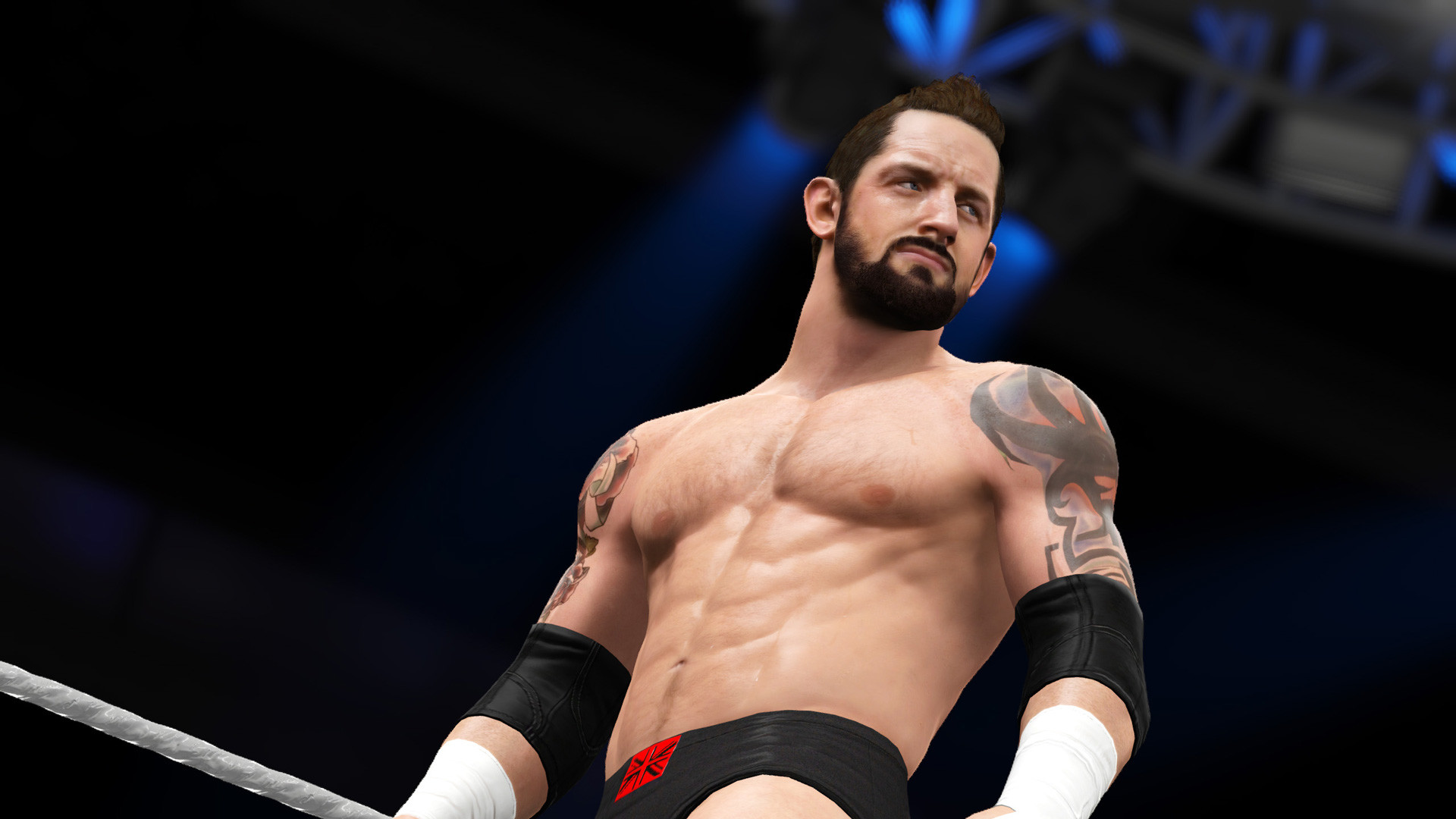 1920x1080 WWE 2K16 Wallpapers HD. Pictures of WWE 2K16
