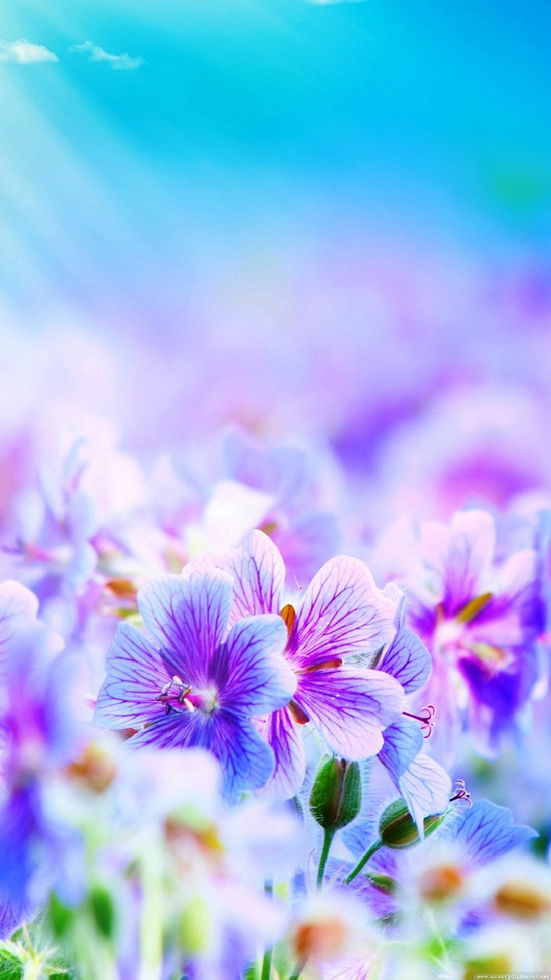 1080x1920 lavender floral wallpape | Purple Flowers Desktop Galaxy S4   Wallpaper HD
