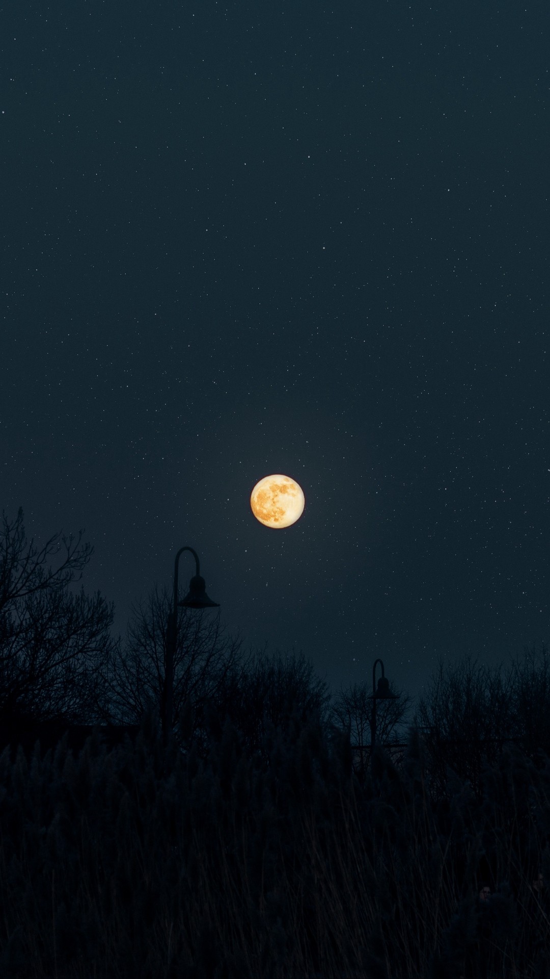 1080x1920  Wallpaper moon, full moon, starry sky, night, darkness,  silhouettes