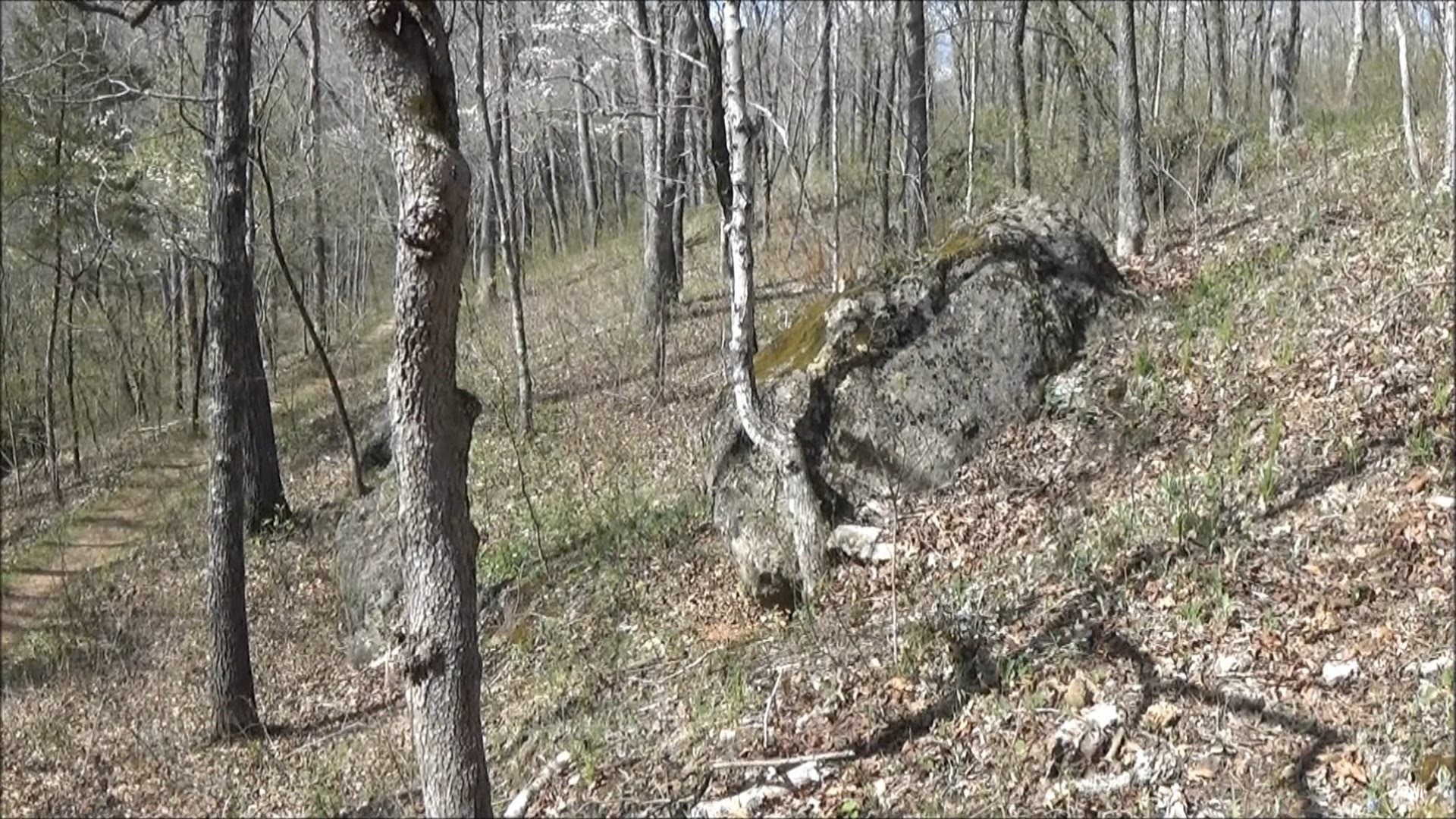1920x1080 Bigfoot Hunting Morel Mushrooms On Nature Hike Trail At Park ! Full HD