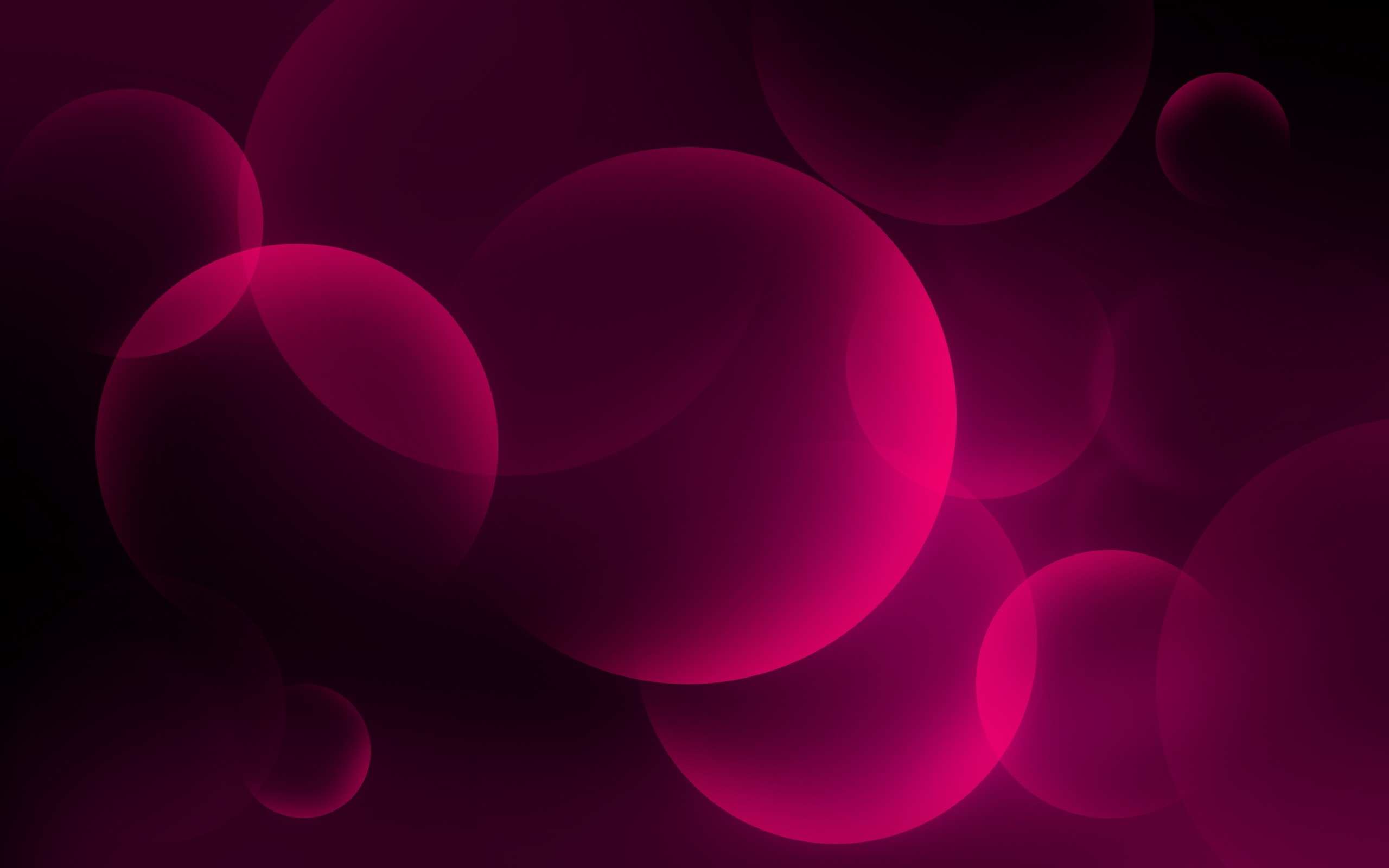 2560x1600 Hot Pink And Black Wallpapers