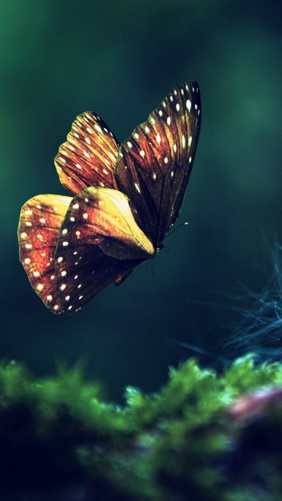 1080x1920 Preview wallpaper butterfly, grass, flying, wings 