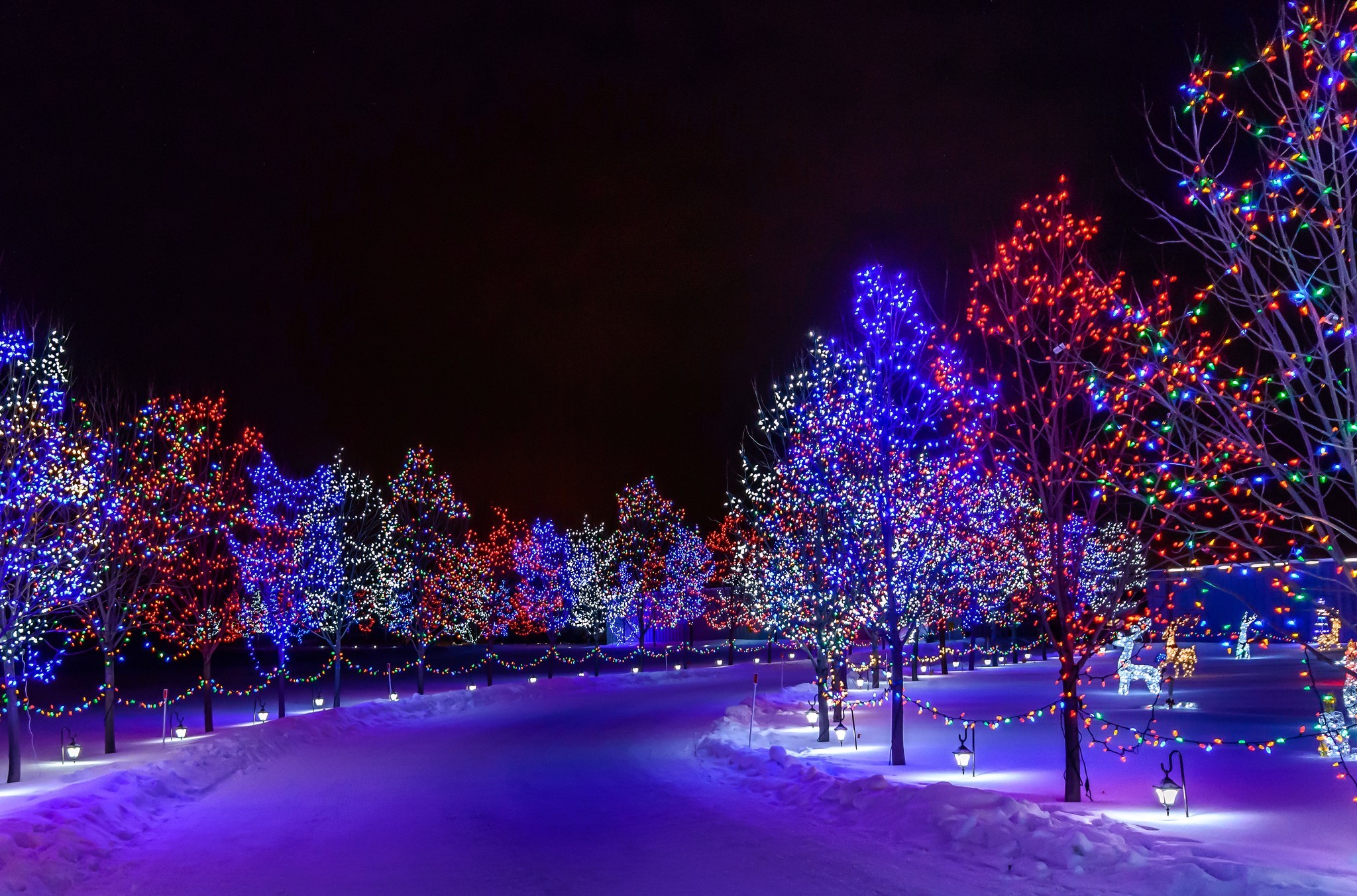 2048x1353 Winter Lights Lanterns Christmas Road Time Magic Merry Trees Snow Snowy Xmas  Night Forest Desktop Wallpapers