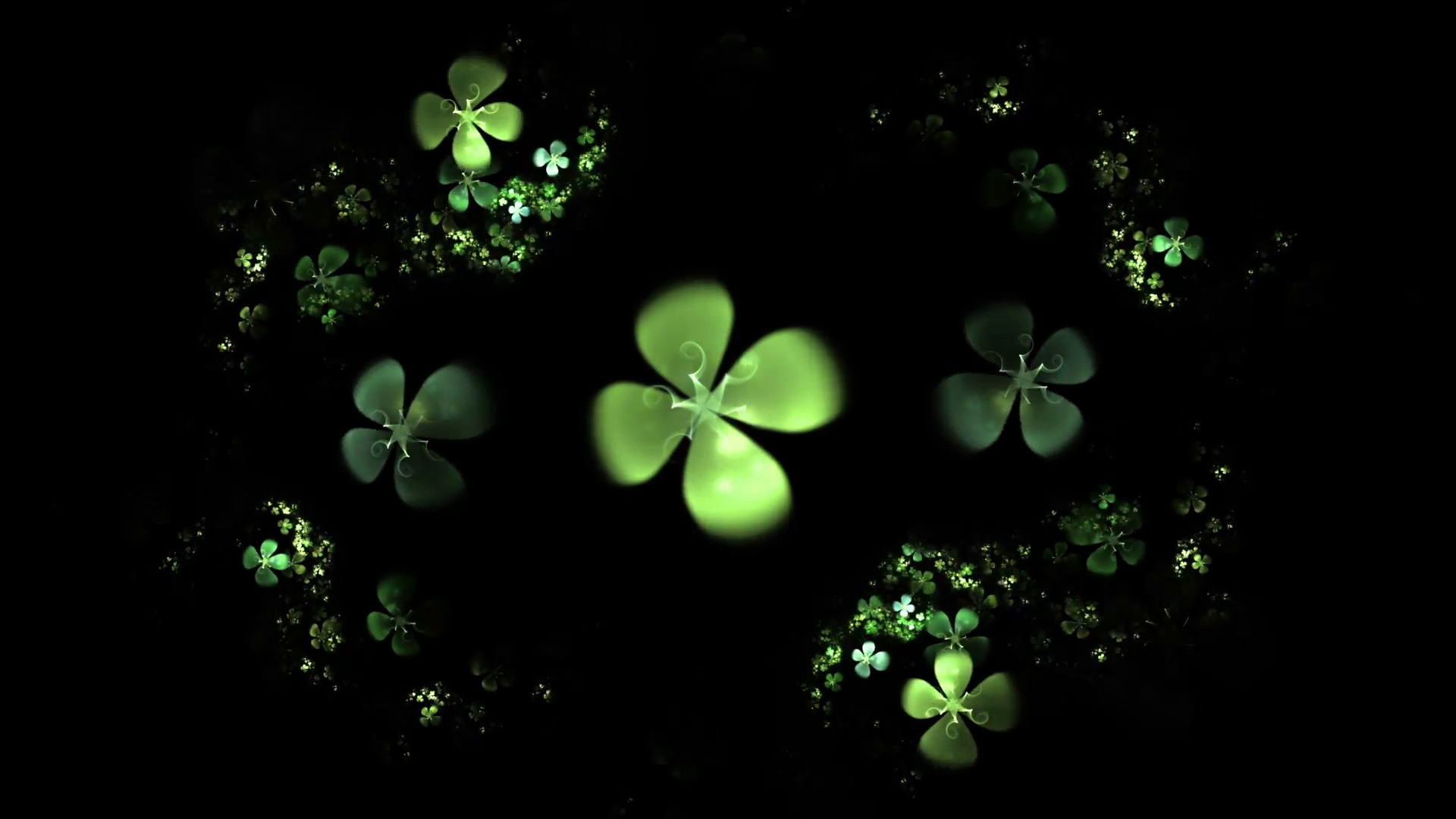 1920x1080 Green Four Leaf Clover On Black - Shamrock, animated illustration of a  four-leafed clovers field on black background, 30fps, HD1080, loopabable  Motion ...