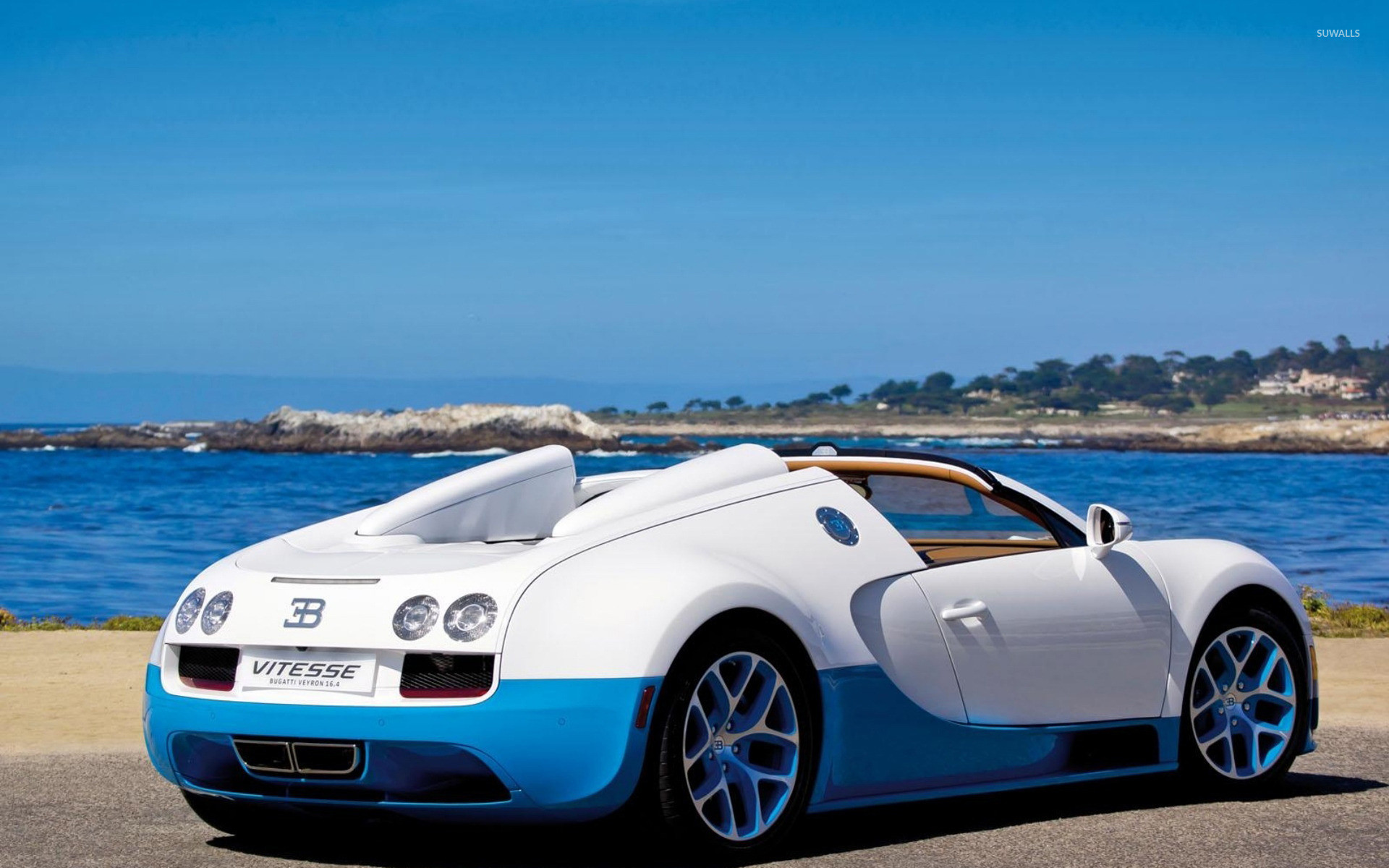 1920x1200 White and blue Vitesse Bugatti Veyron wallpaper