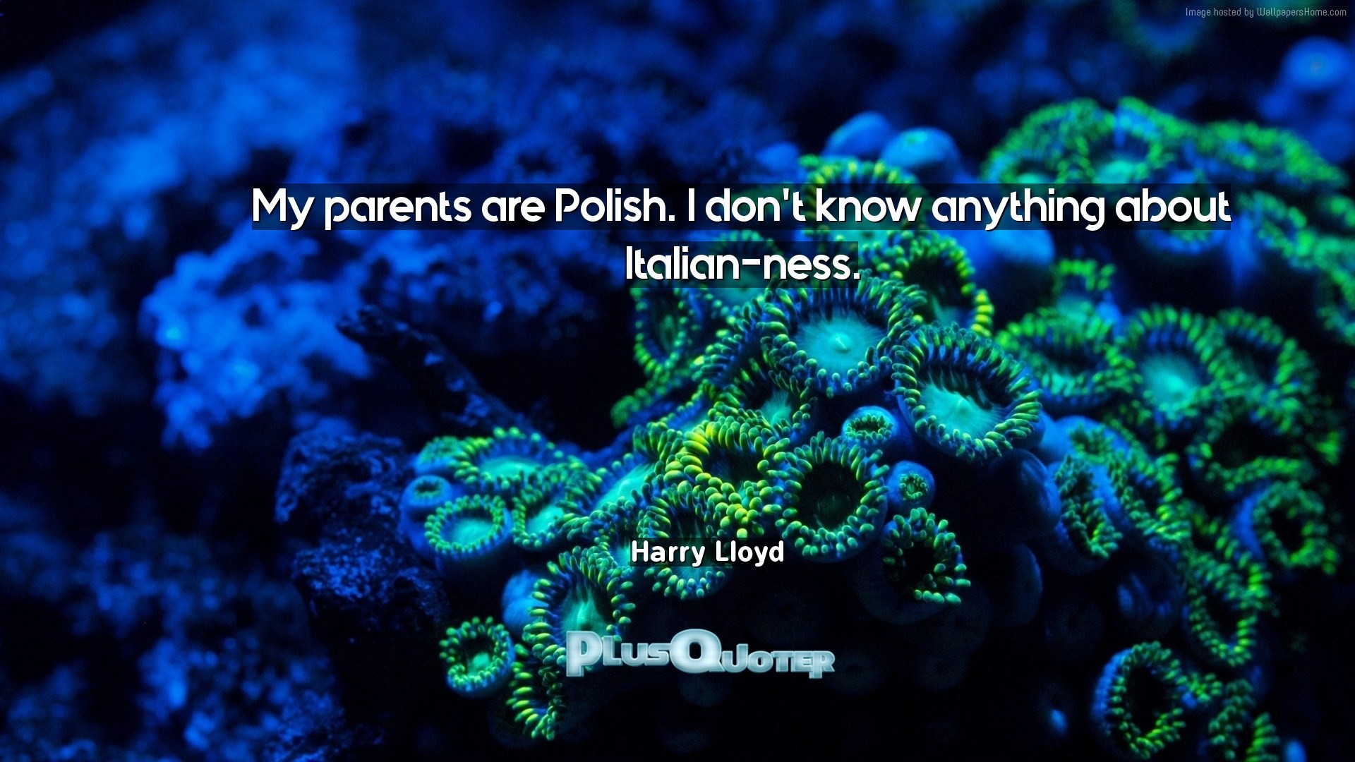 1920x1080 Download Wallpaper with inspirational Quotes- "My parents are Polish. I don