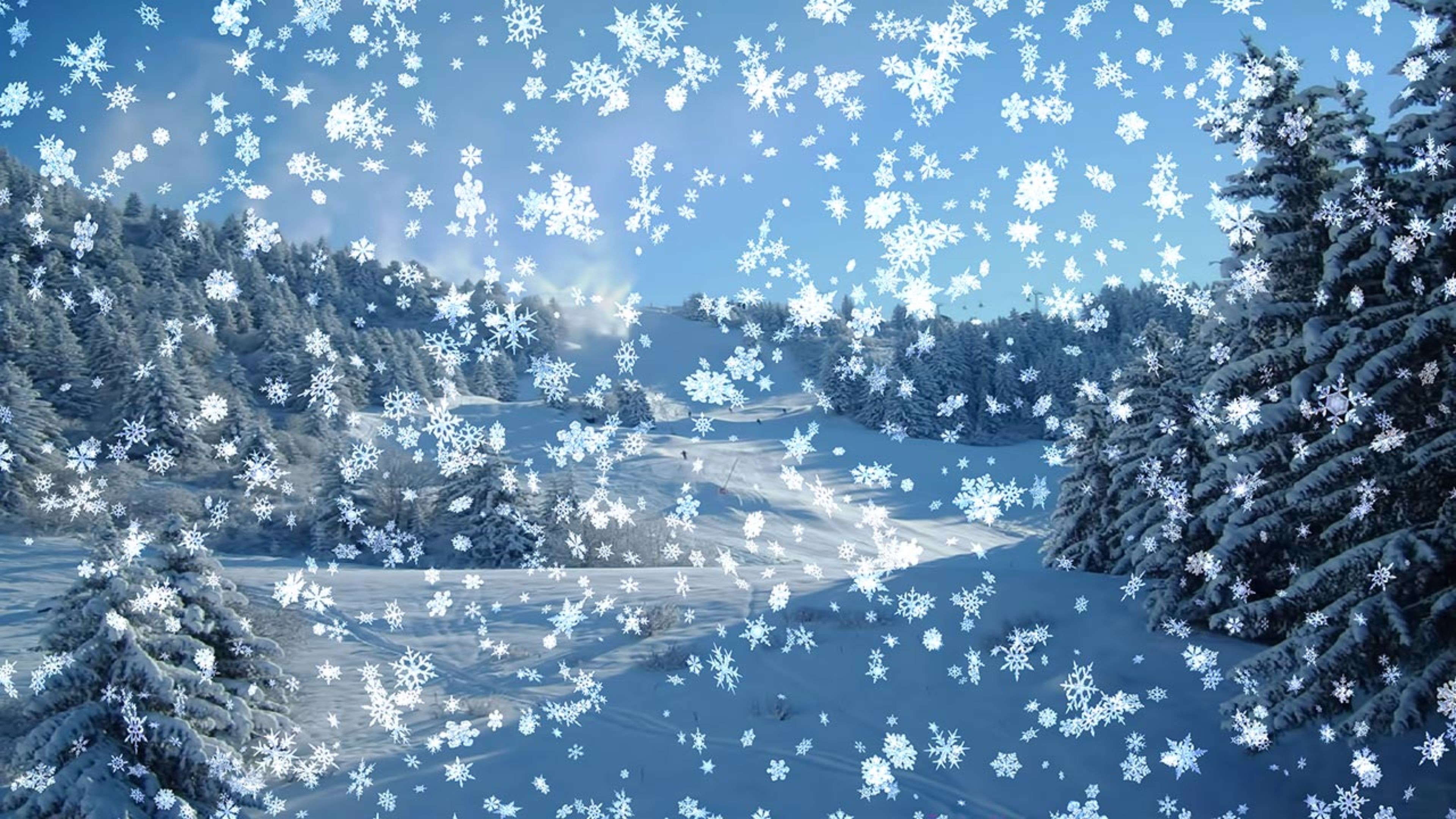 3840x2160 First Snow Flakes 4K Winter Wallpaper