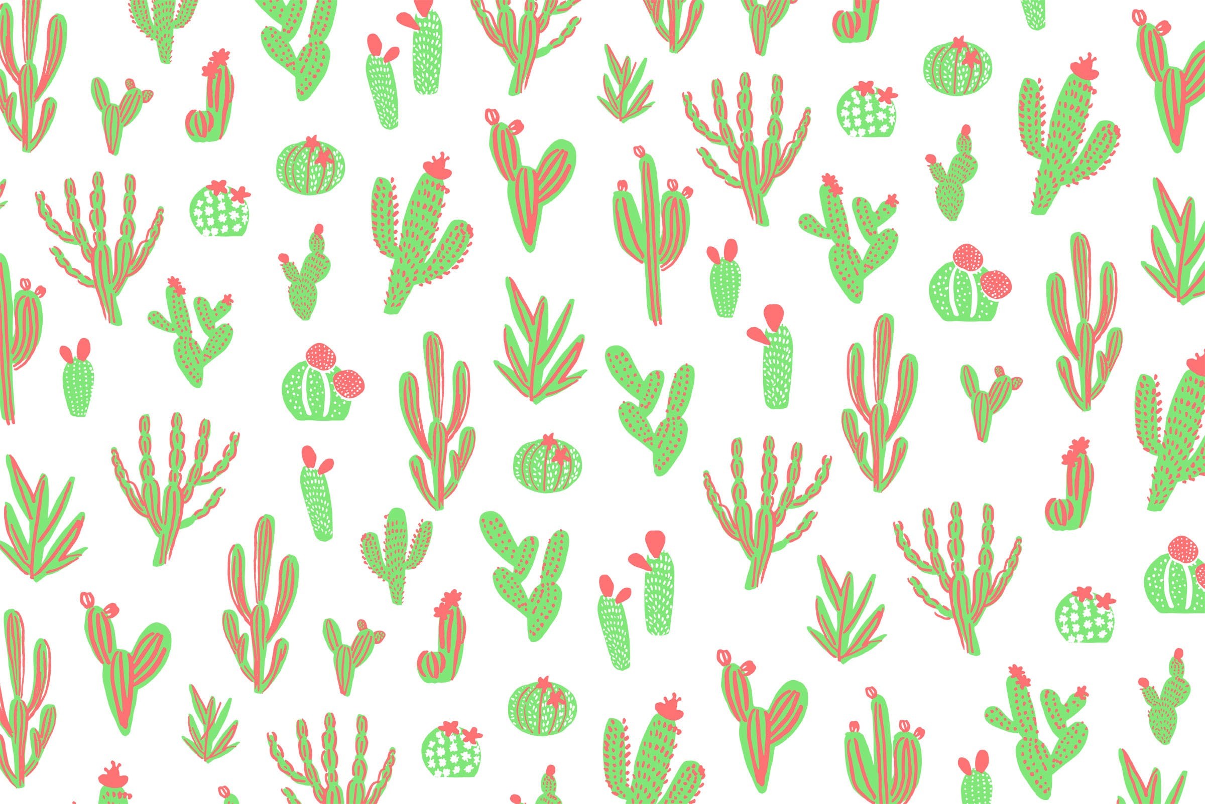 Cactus HD Wallpaper  PixelsTalkNet