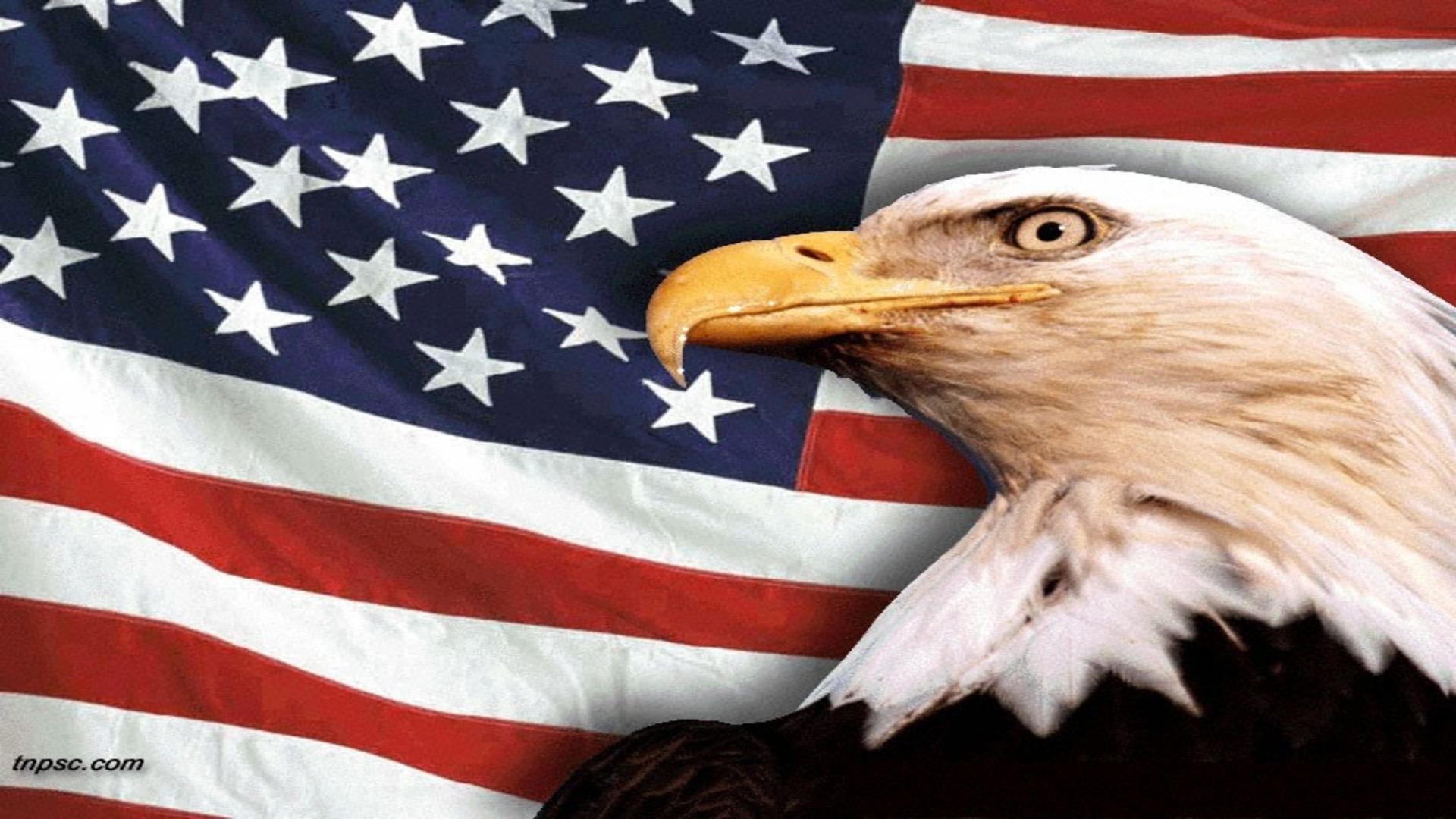 1920x1080 American eagle wallpaper in front of USA flag free desktop .