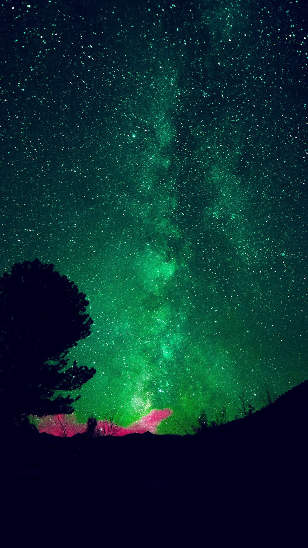 1080x1920 Aurora Night Sky Star Space Nature Green #iPhone #6 #wallpaper
