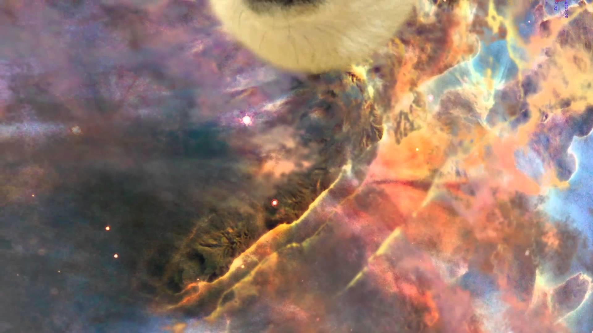 1920x1080 Space Doge Meme Wallpaper