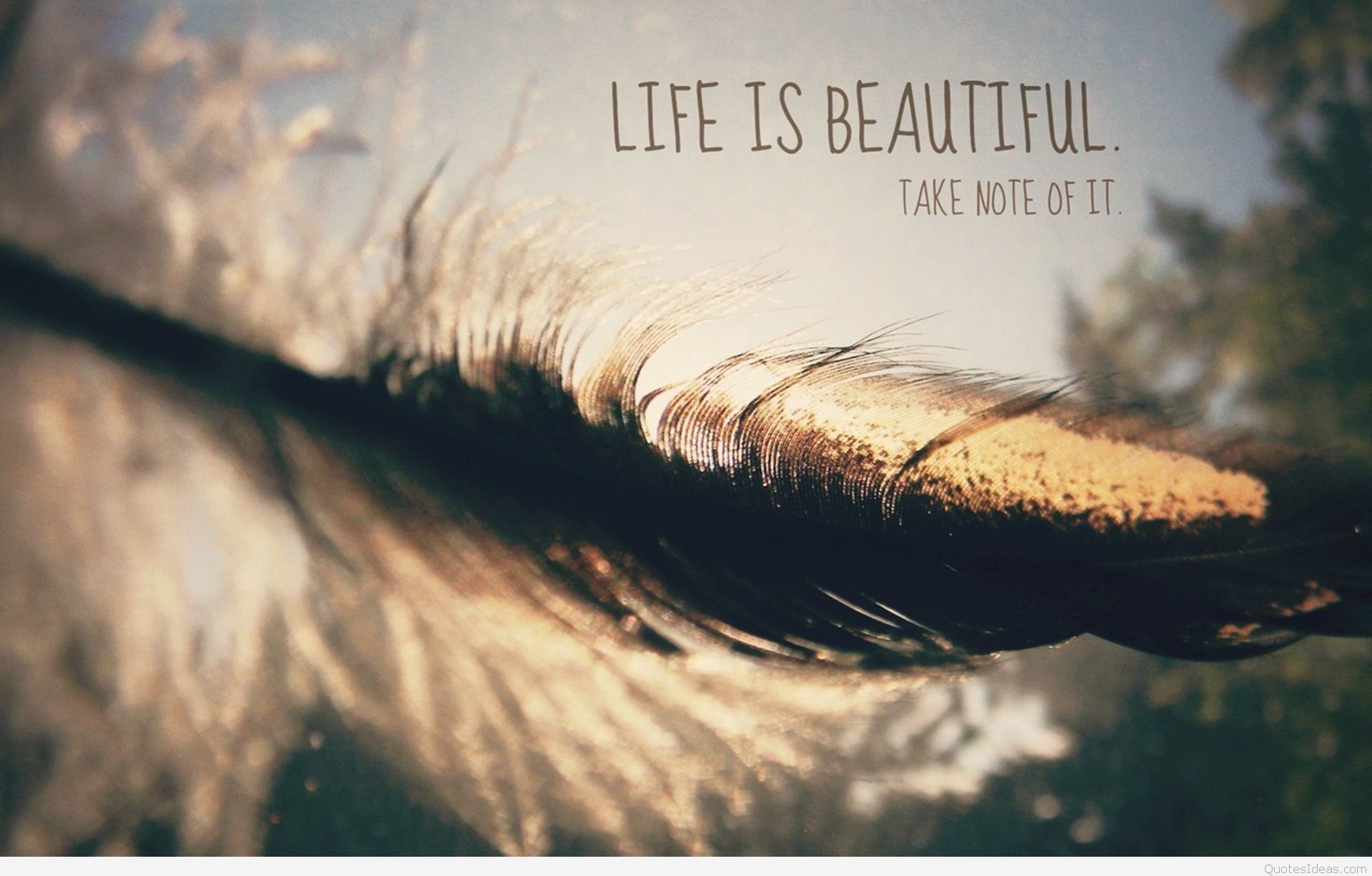 1920x1227 Life is beautiful HD wallpaper with quote