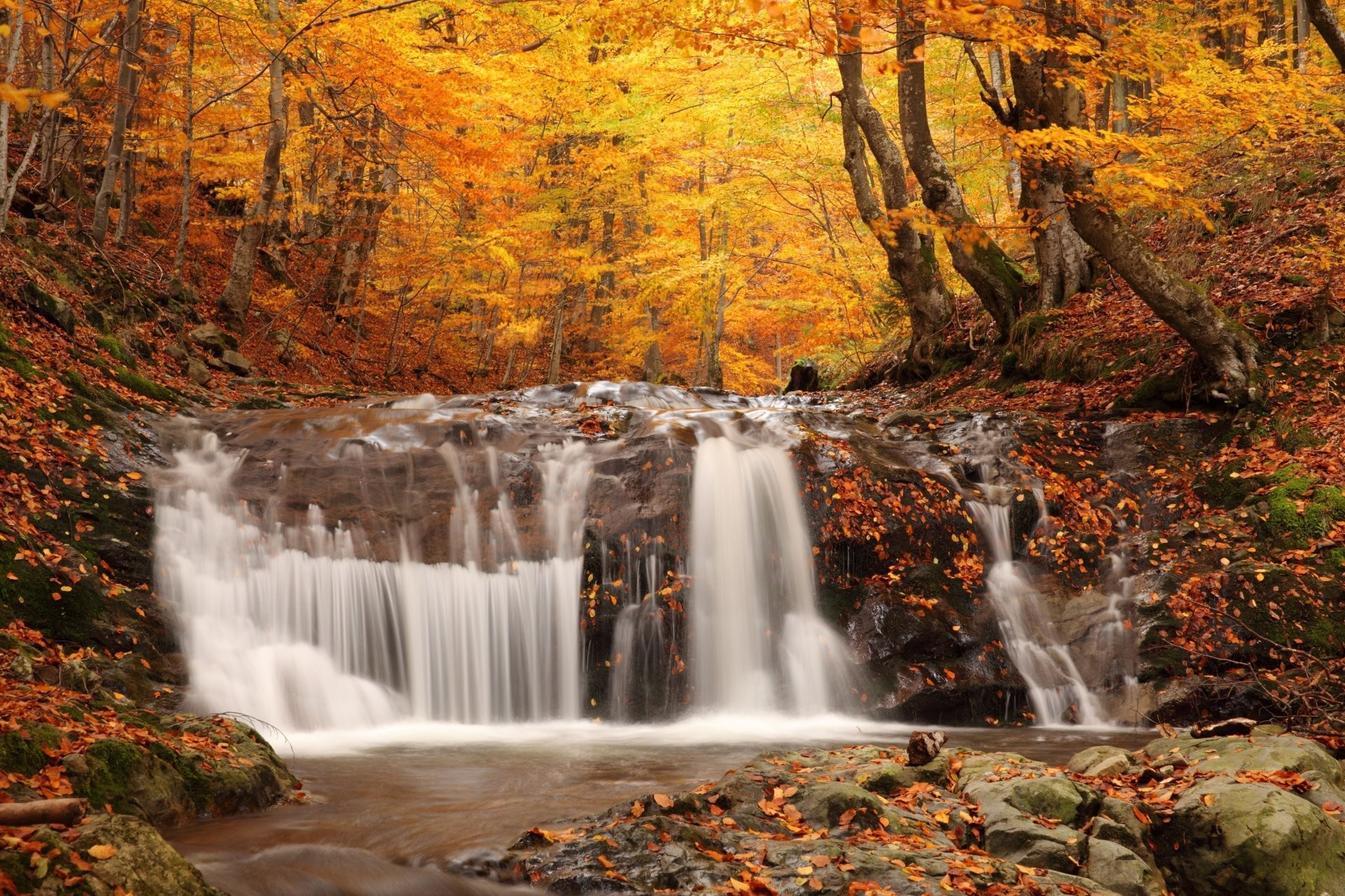 1920x1280 autumn waterfall coloured wood woodland scenery nature picture autumn fall  off foliage waterfall forest tree