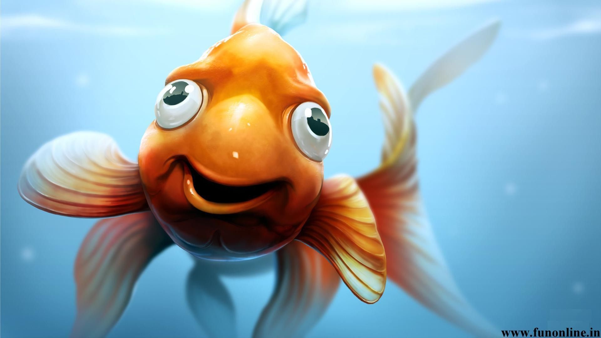 1920x1080 ... Goldfish On Blue Background Wallpaper Stock Photo, Picture And ..