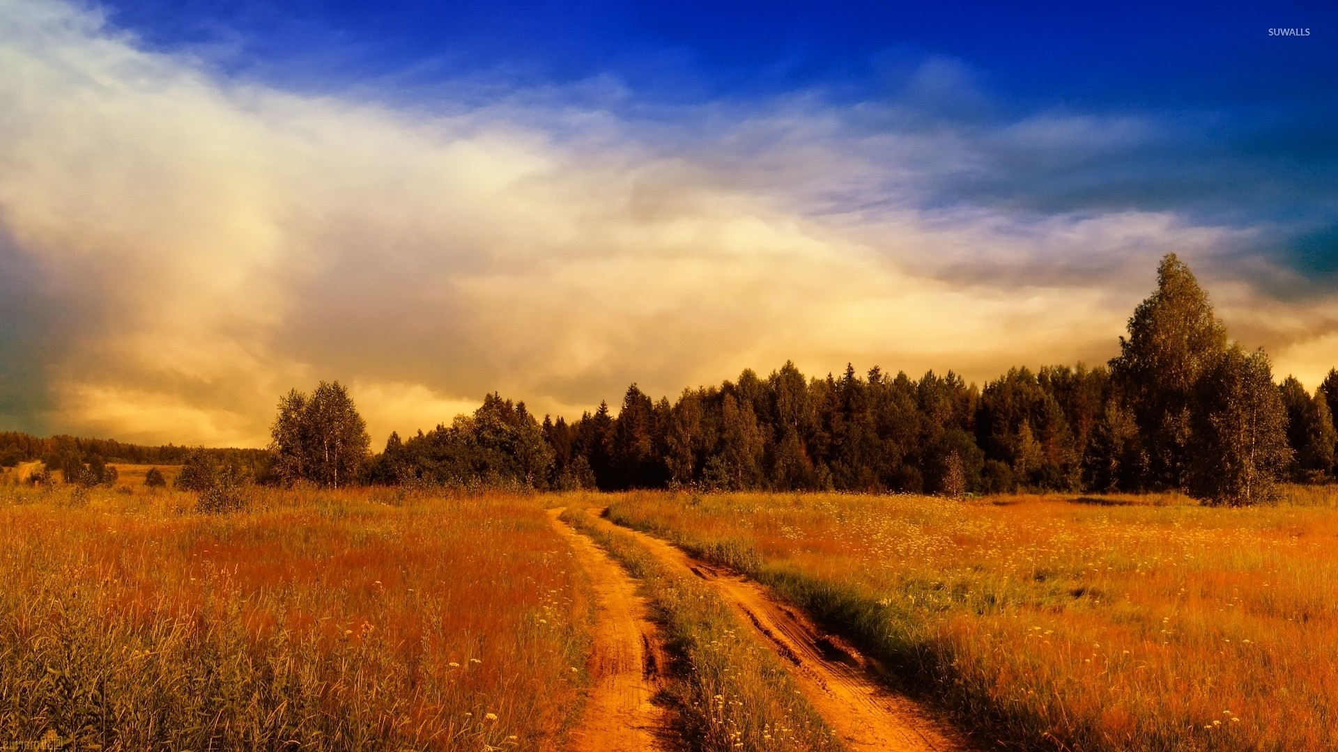 1920x1080 Path on the rusty field towards the forest wallpaper  jpg