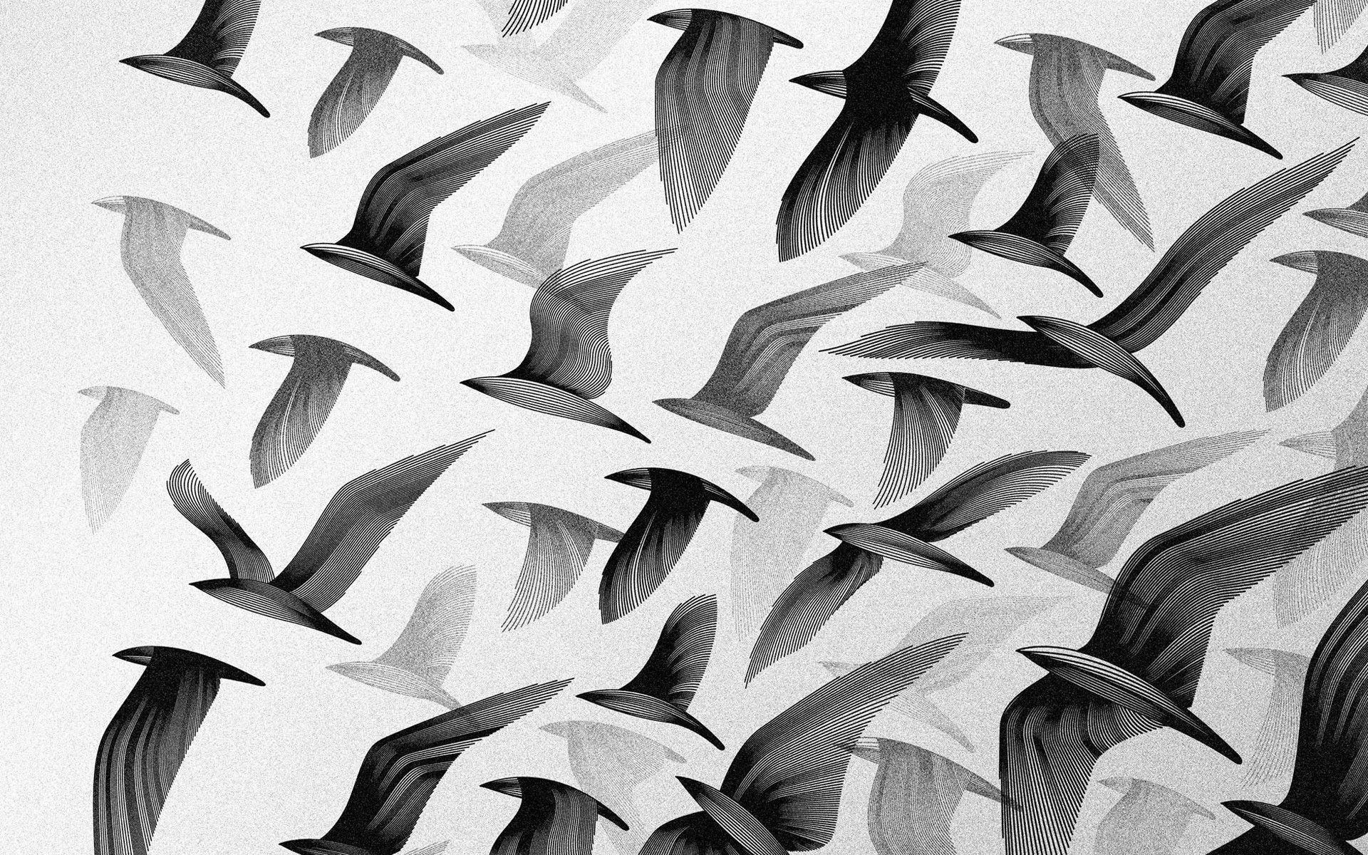 1920x1200 Black and white flock Wallpaper