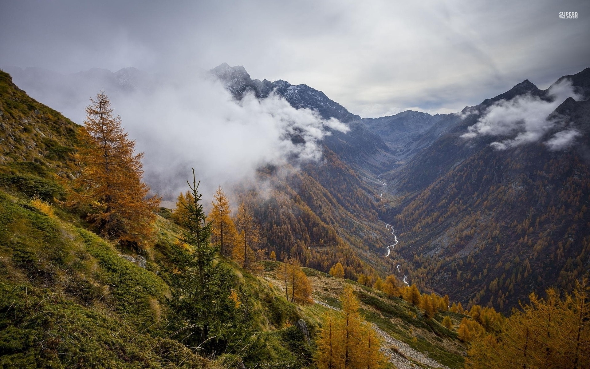 1920x1200 Mountains Autumn Foggy Valley wallpapers and stock photos
