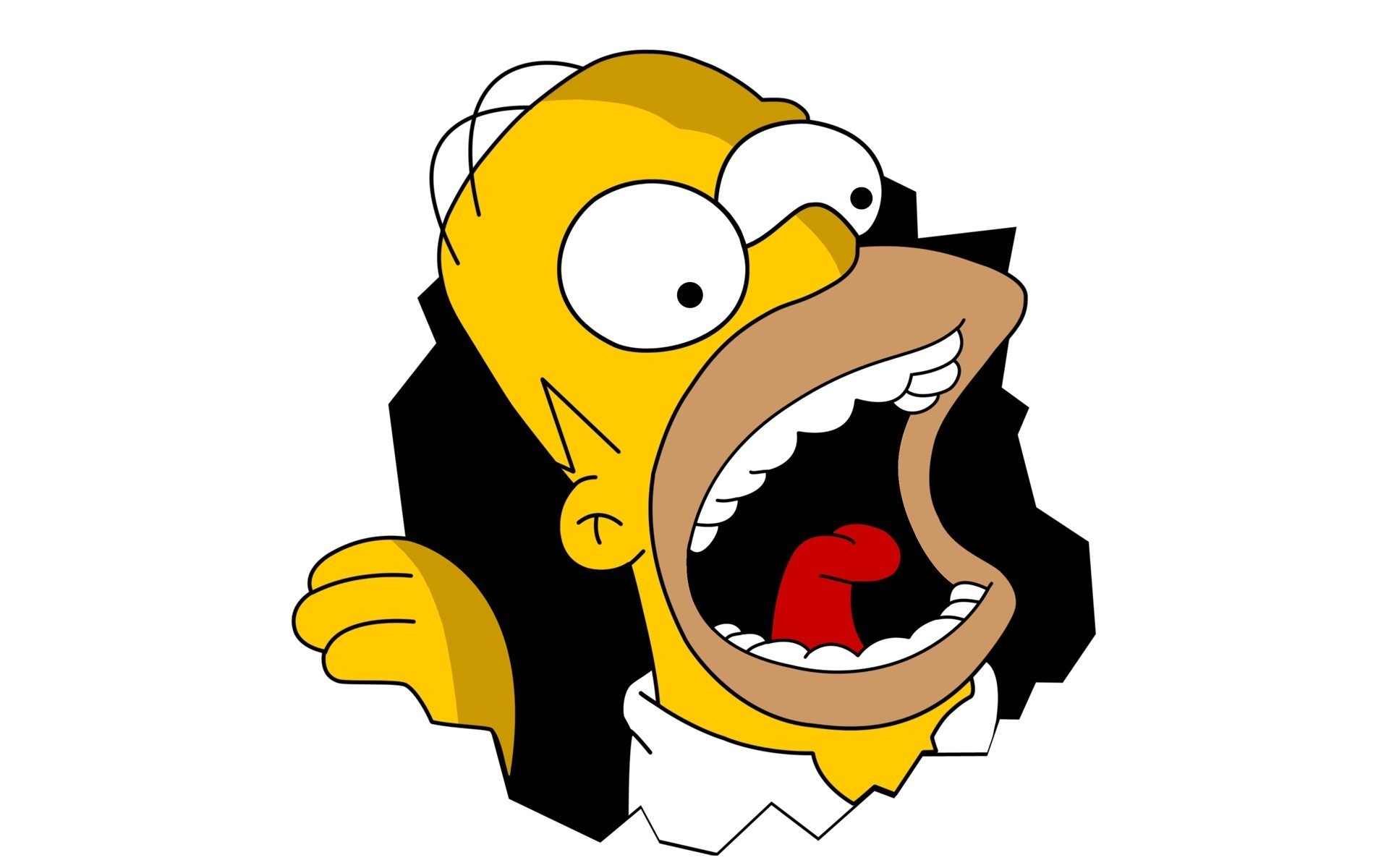 1920x1200  Homer Simpson The Simpsons Wallpaper px