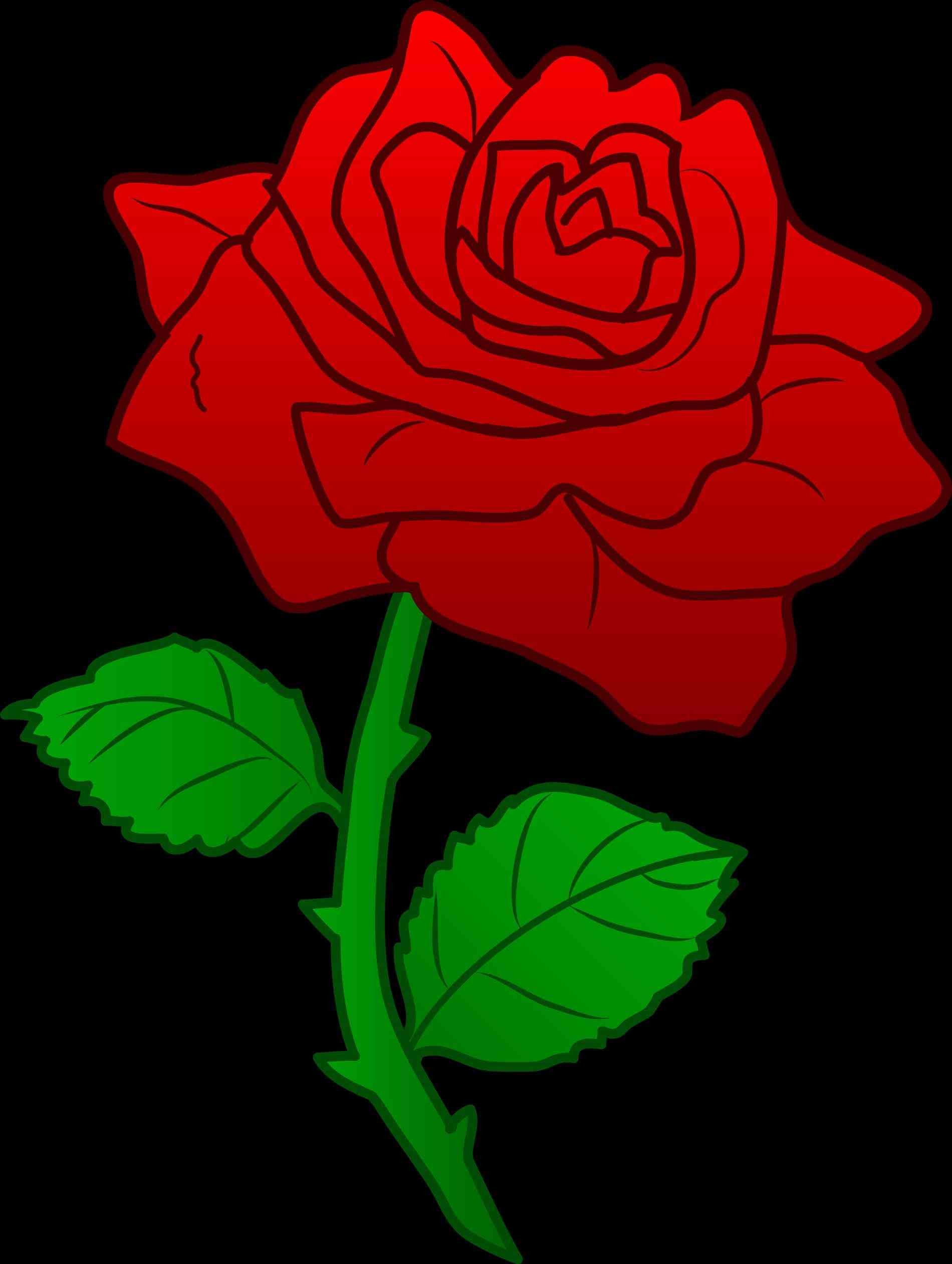 1900x2521 Animated pictures of roses beautiful rose flowers wallpaper # animated roses  images animated beautiful animated pictures .