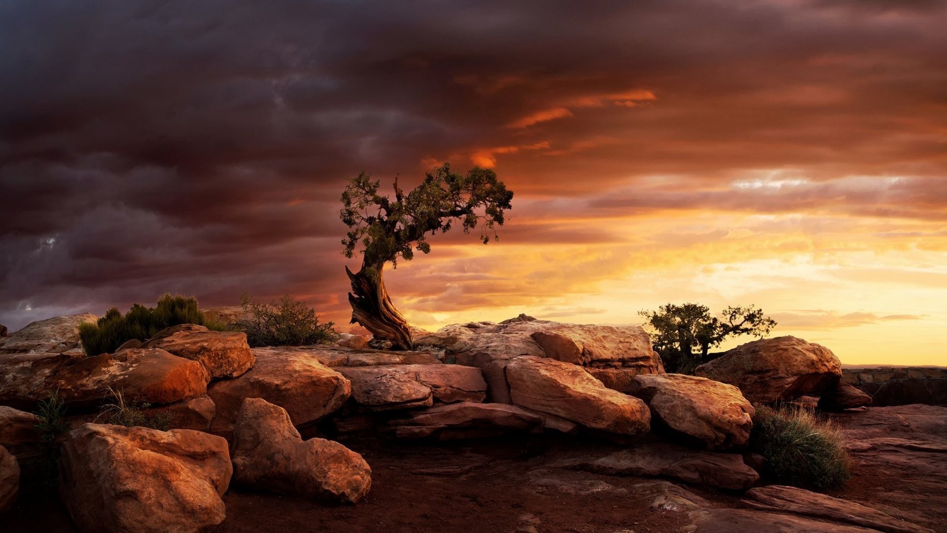 1920x1080 Lonely Tag - Dead Utah Moab State Juniper Tree Park Lonely Boulders Rock  Sunrise Horse Good