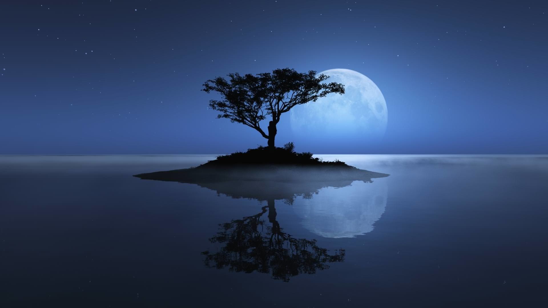 1920x1080 Birds and tree under the blue moon wallpaper Fantasy wallpapers