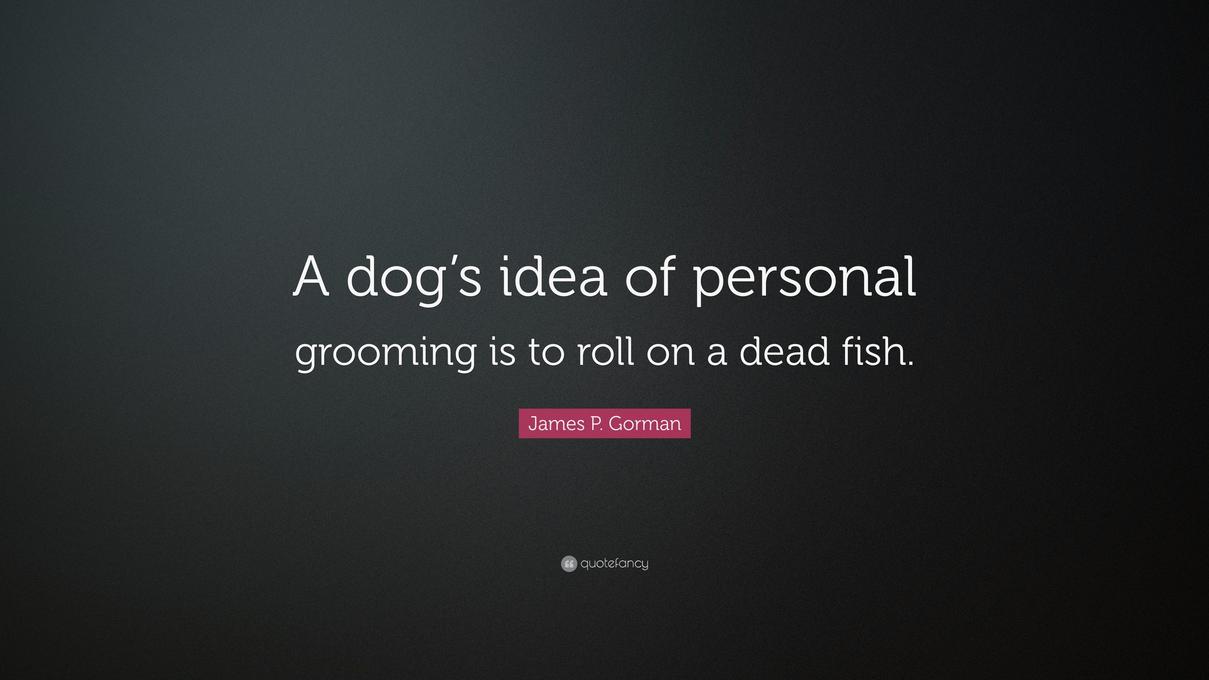 3840x2160 James P. Gorman Quote: “A dog's idea of personal grooming is to roll