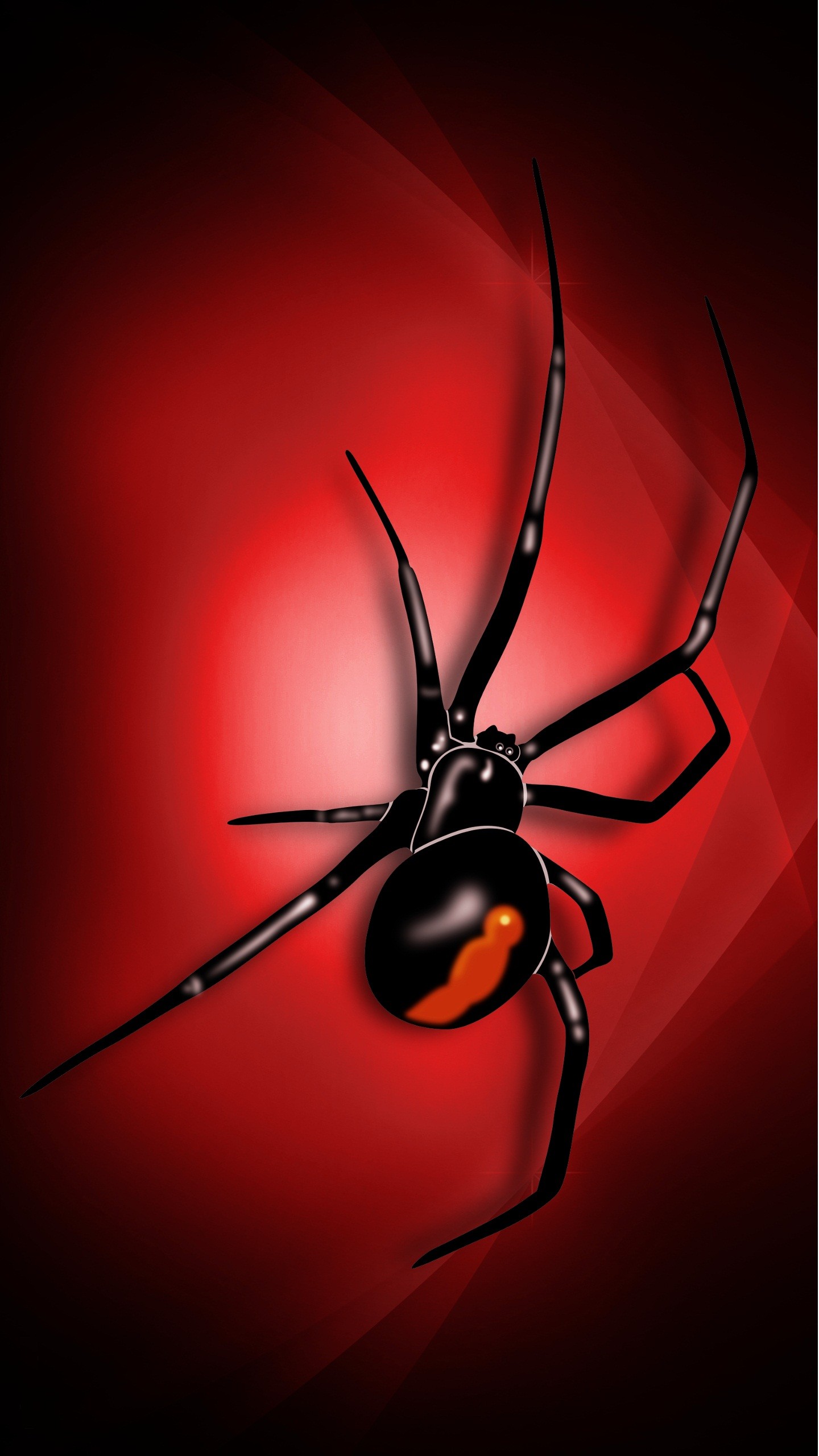1440x2560 3D Spider Wallpaper iPhone 8 resolution 