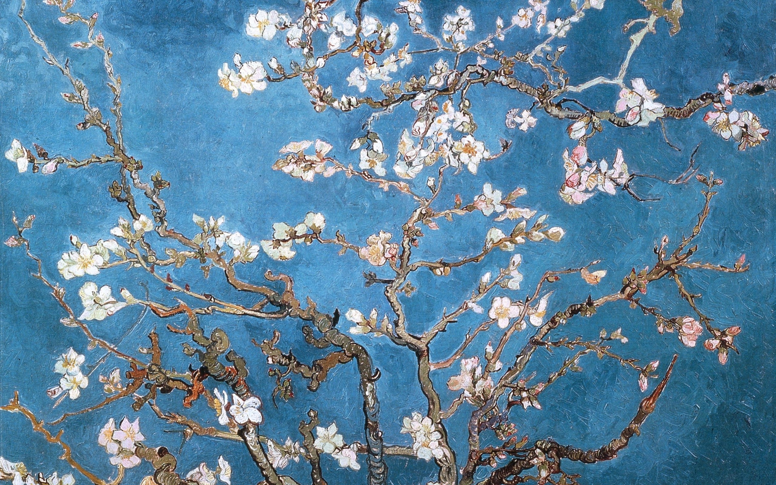 2560x1600 blossoms vincent van gogh artwork almond 3012x2293 wallpaper Art HD  Wallpaper
