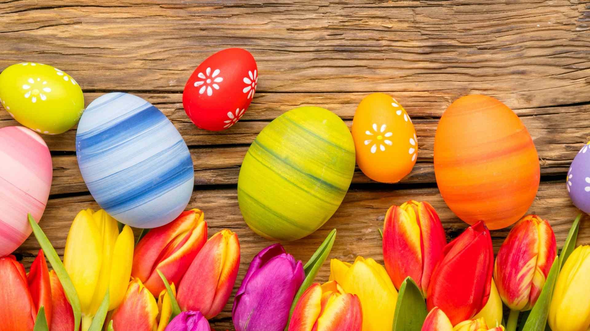 1920x1080 Colored Easter eggs and tulips