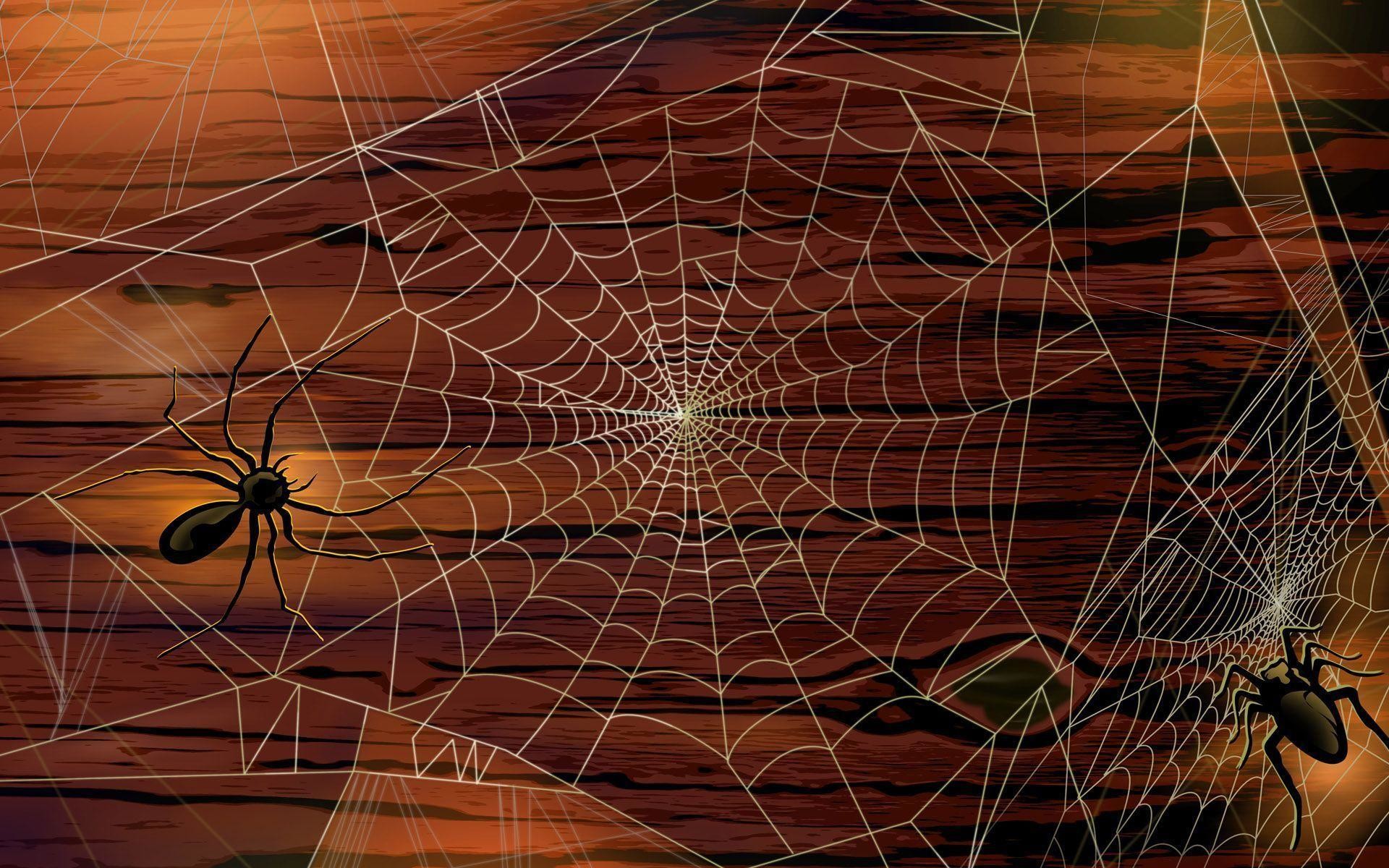 1920x1200 Scary Spider Wallpaper
