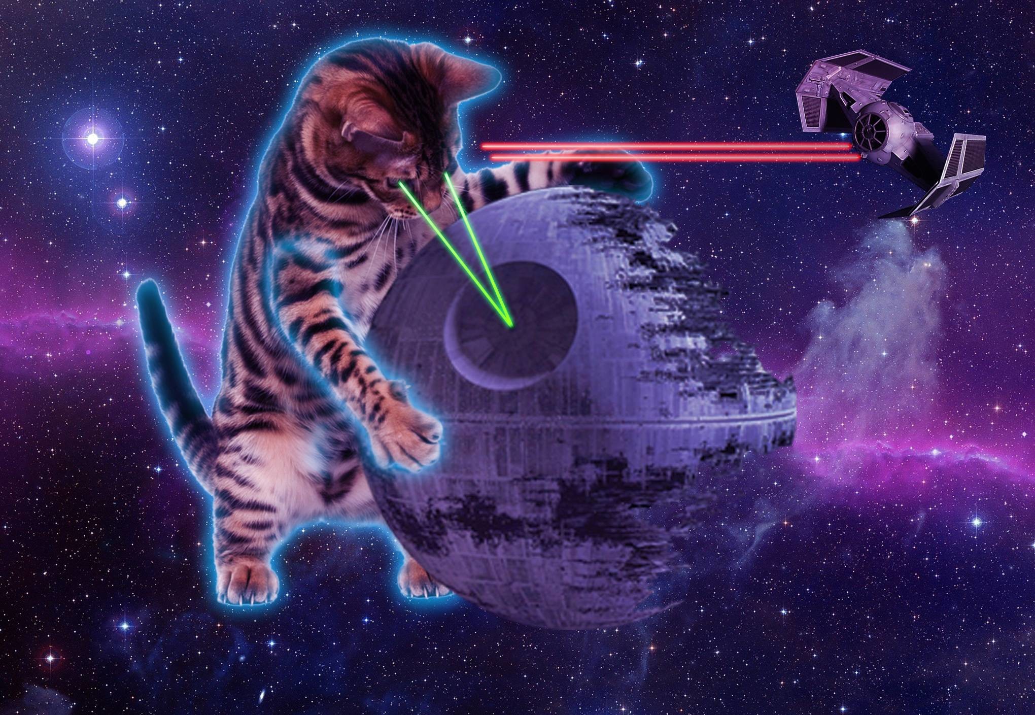 2040x1409 Space Cats HD Wallpaper HDQ Cover
