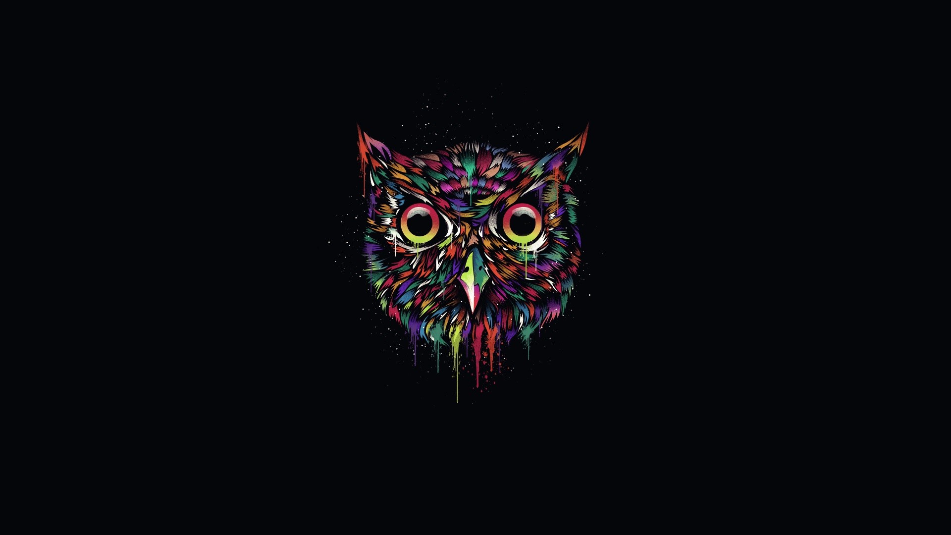 1920x1080 Colorful owl, creative design, black background wallpaper thumb