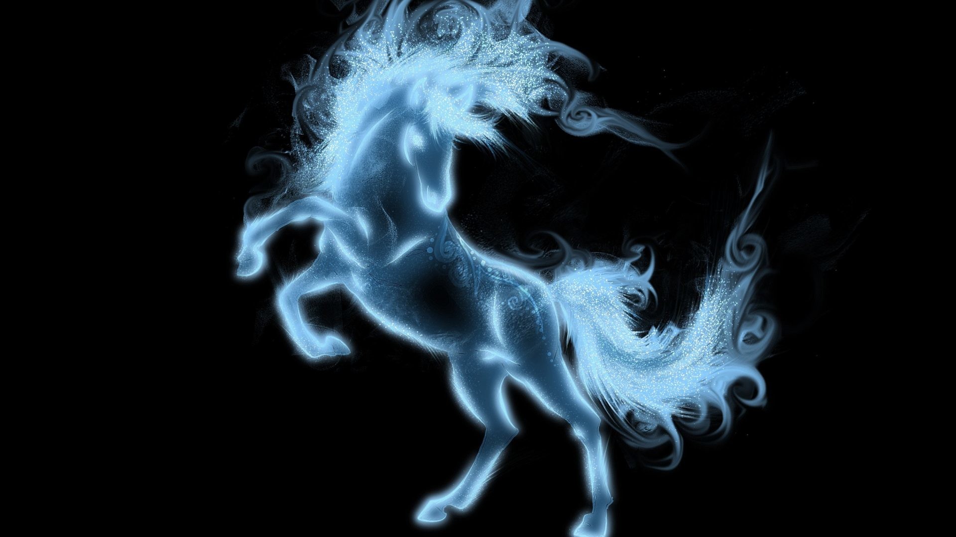 1920x1080 Animals - Griva Animal Hooves Tail Black Horse All Animals Images Hd for HD  16: