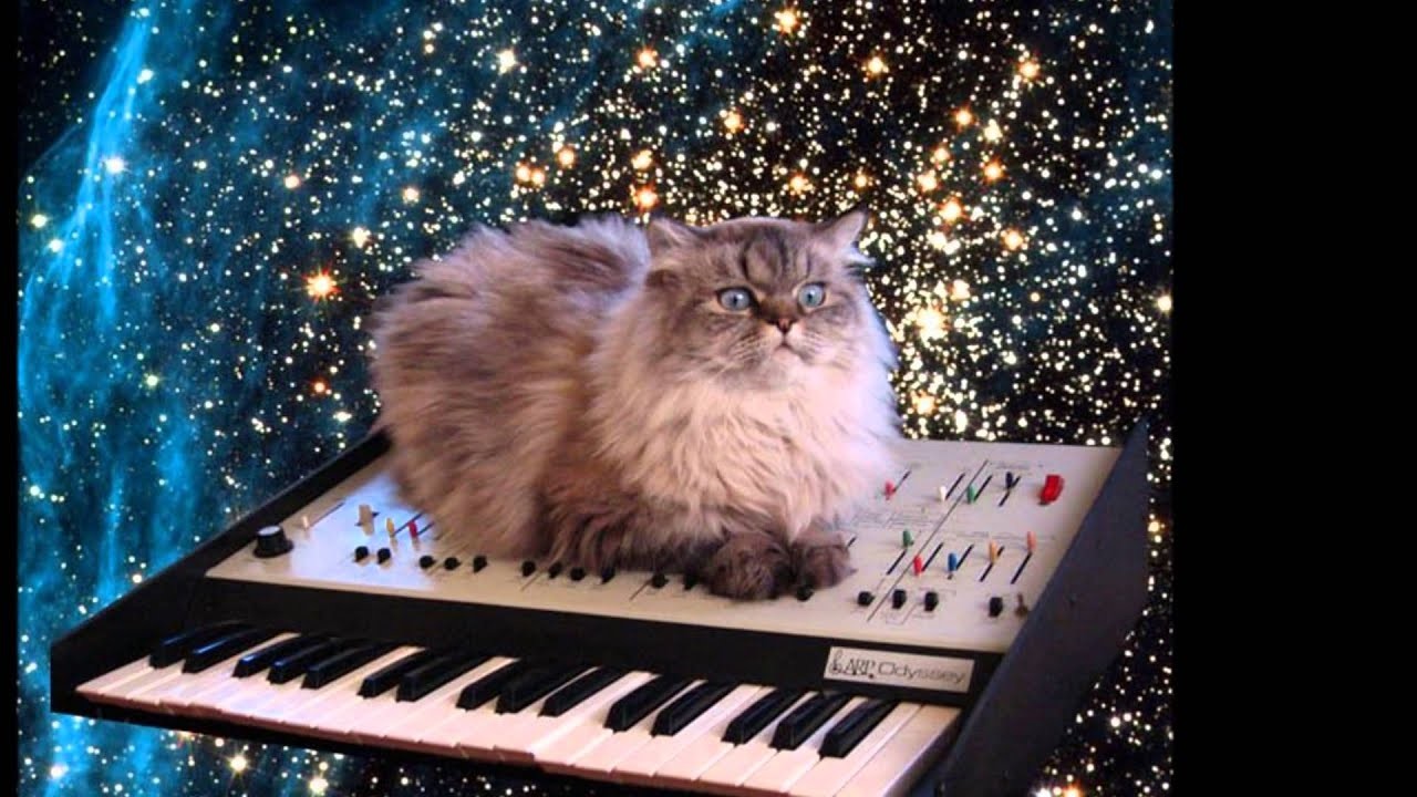1920x1080 Space Kitty (slideshow)