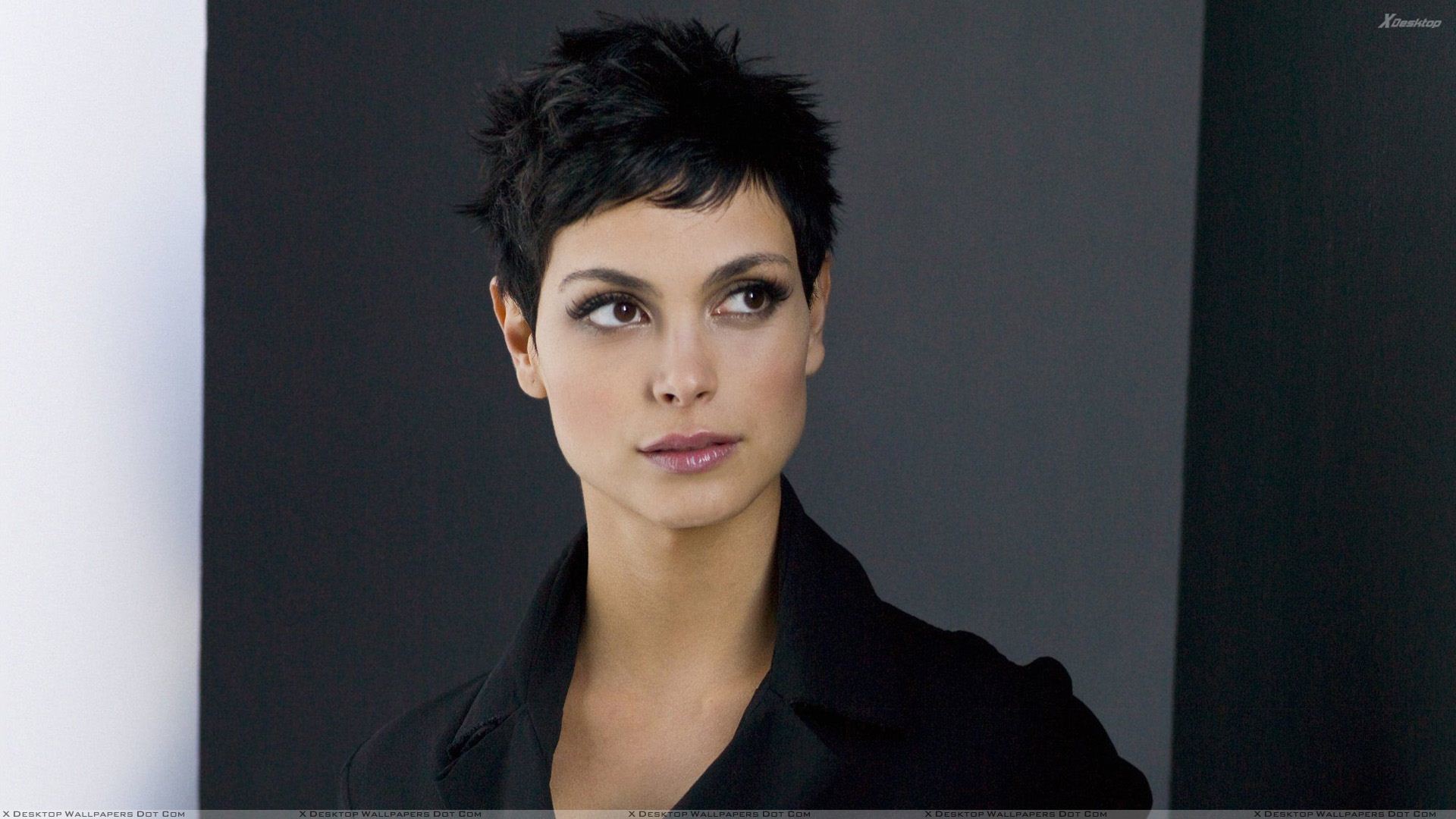 1920x1080 Morena Baccarin Wallpapers