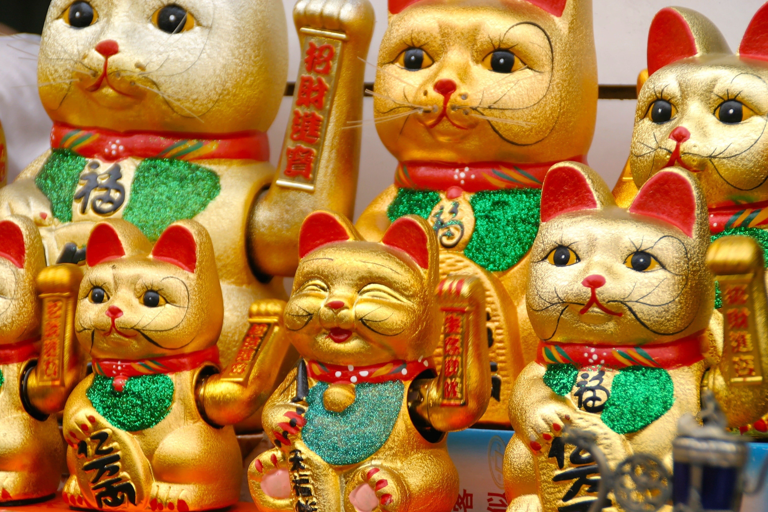 3072x2048 Japanese, Lucky Charm, Cat, Deco, Wave, store, retail