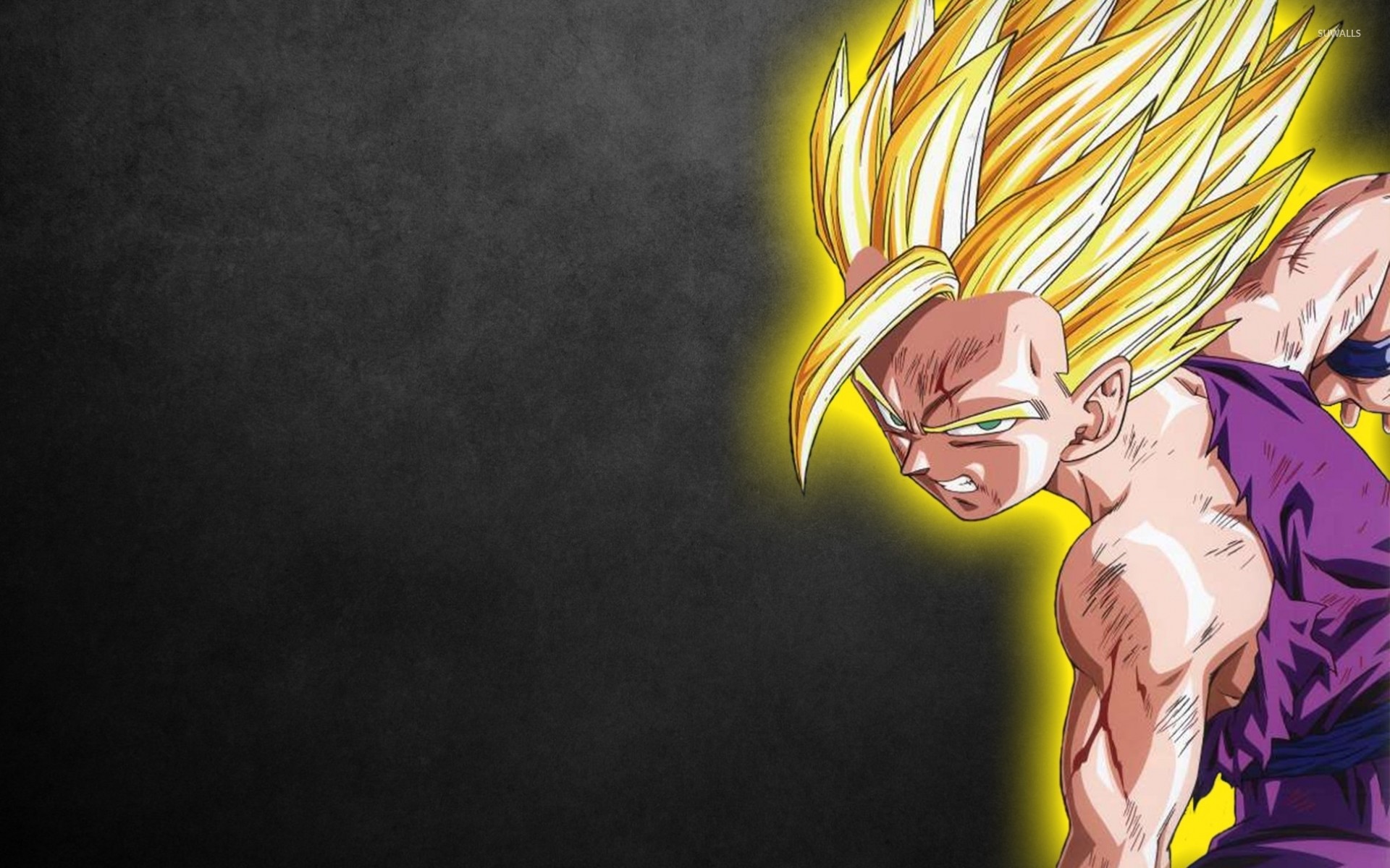 1920x1200 Desktop Images of Dragon Ball Z Wallpapers download for free