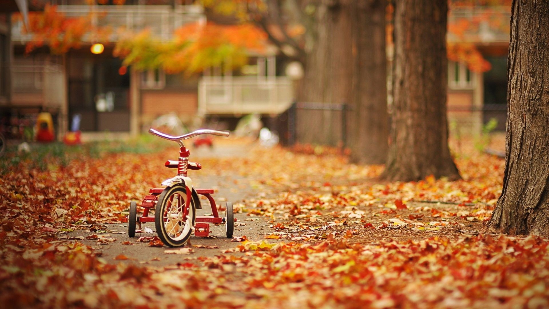 1920x1080 fall images | Description: The Wallpaper above is Tricycle in Autumn  Wallpaper in .