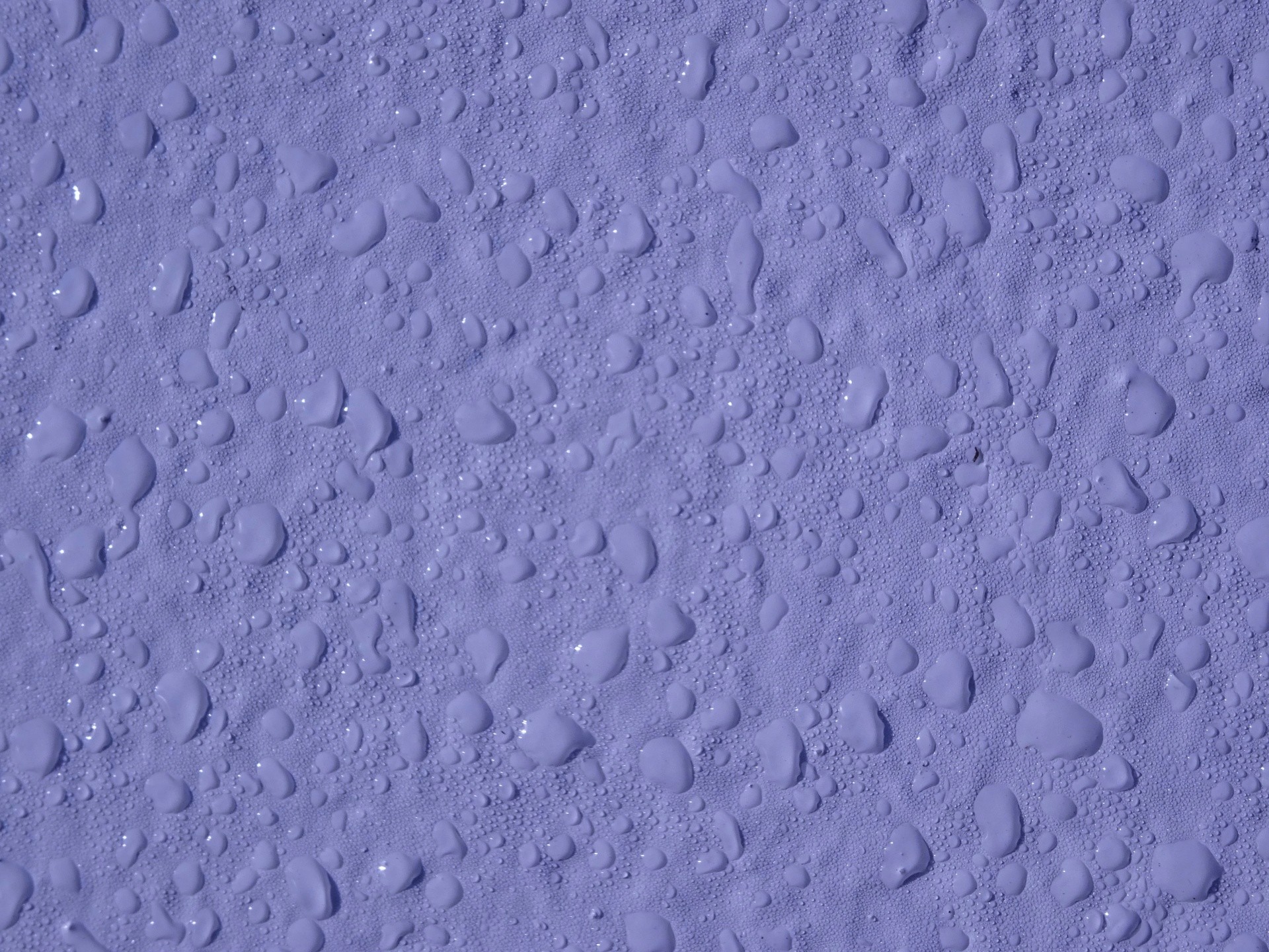1920x1440 Lilac Water Droplets Background