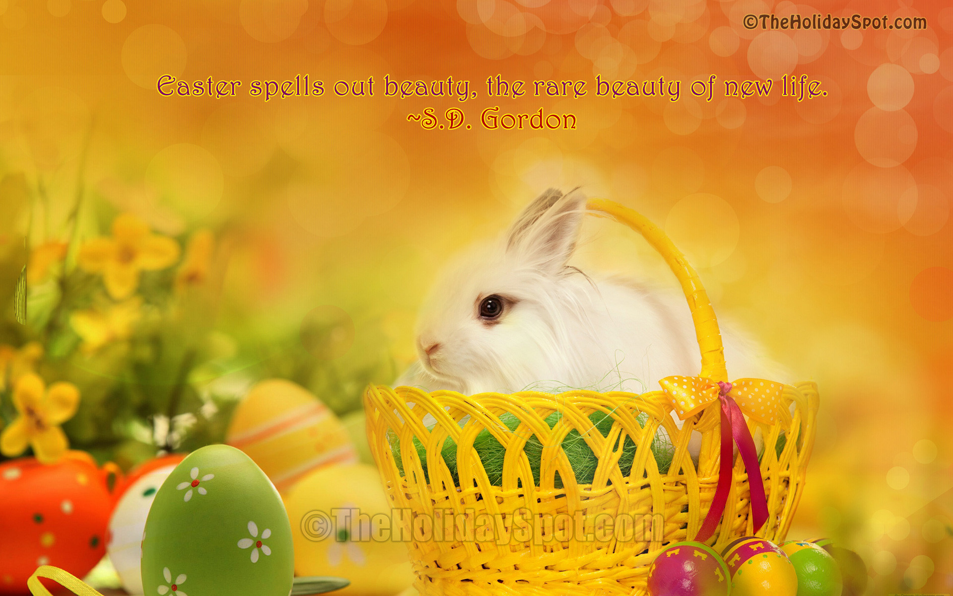1920x1200 Easter Bunny in Basket Wallpaper
