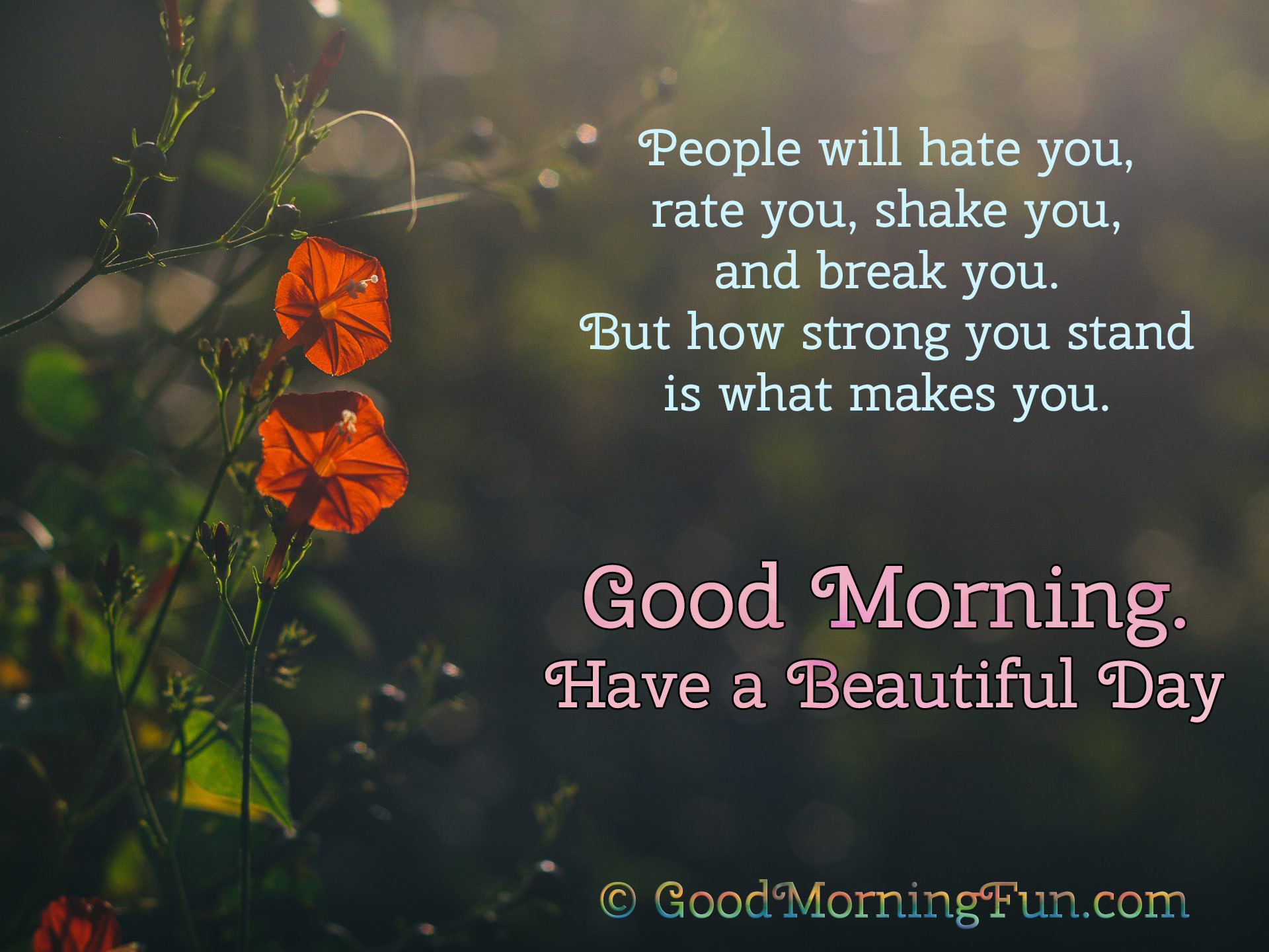 1920x1440 How strong you stand is what makes you - Inspirational Good Morning Quotes