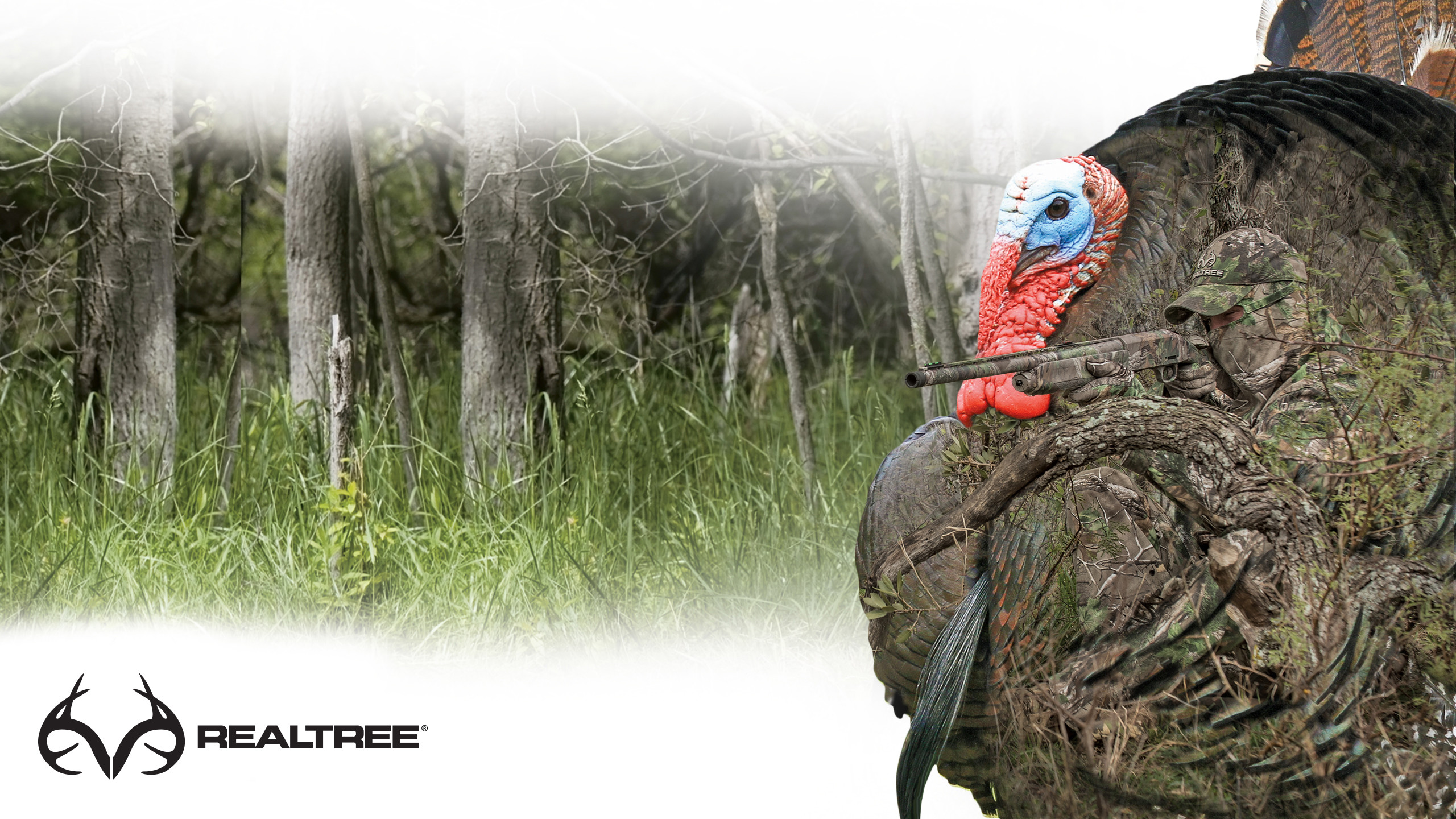 Spring Turkey Hunting Wallpaper.