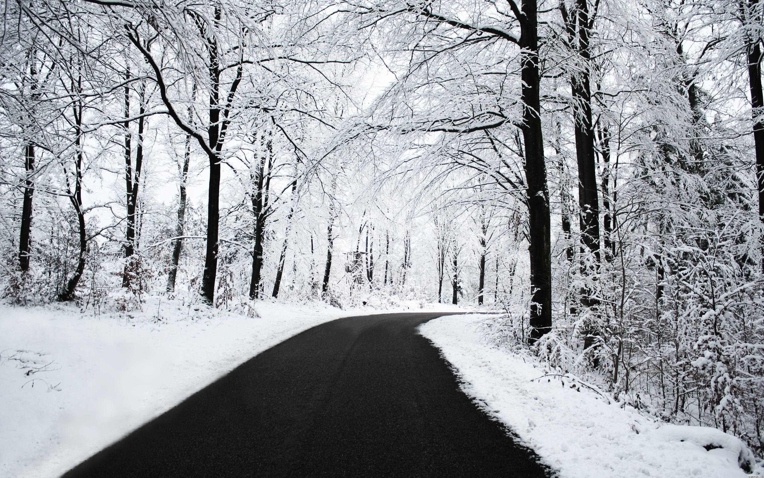 2560x1600 Winter Snow Backgrounds - Wallpaper Cave