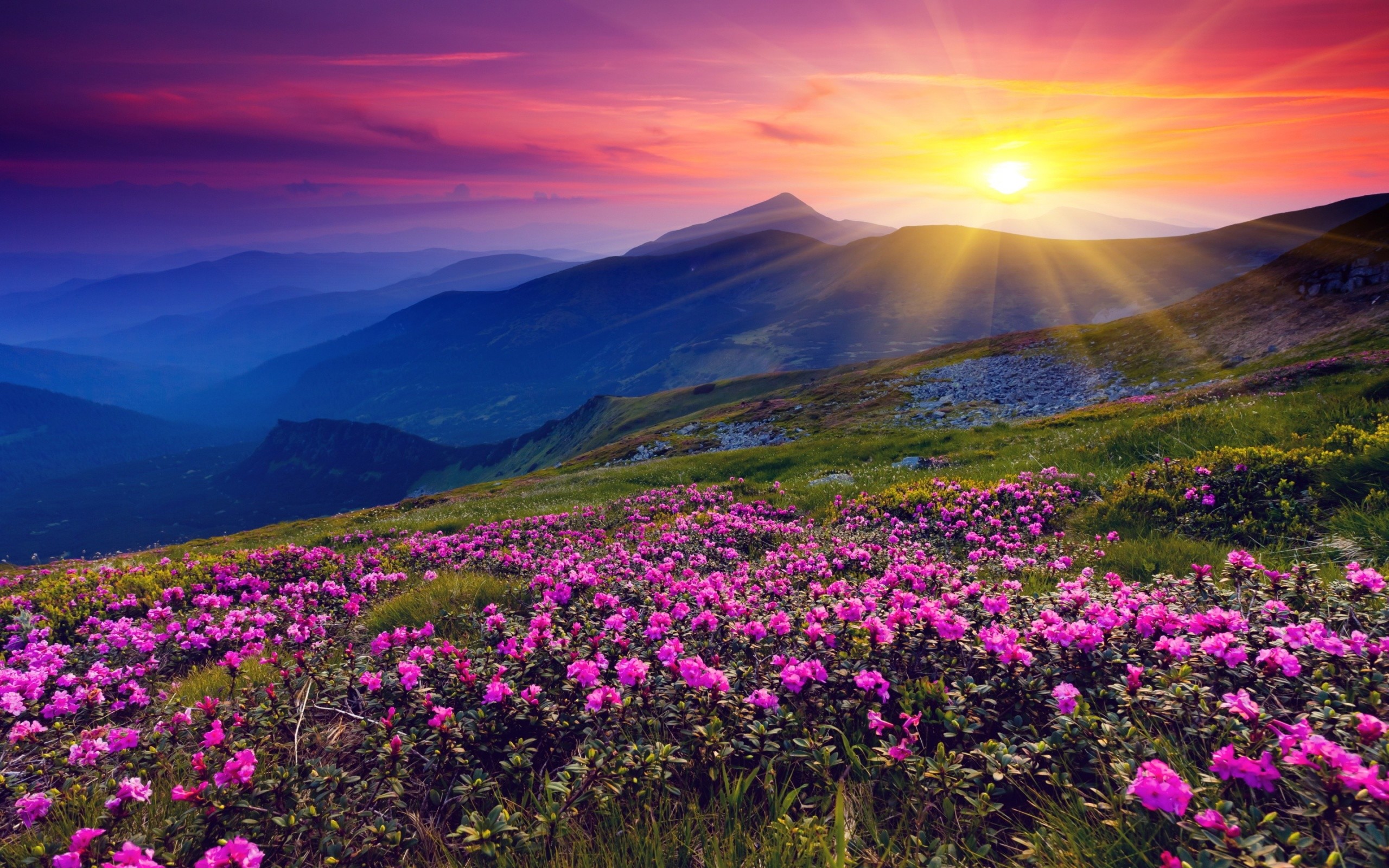2560x1600 Beautiful Mountain Sunset