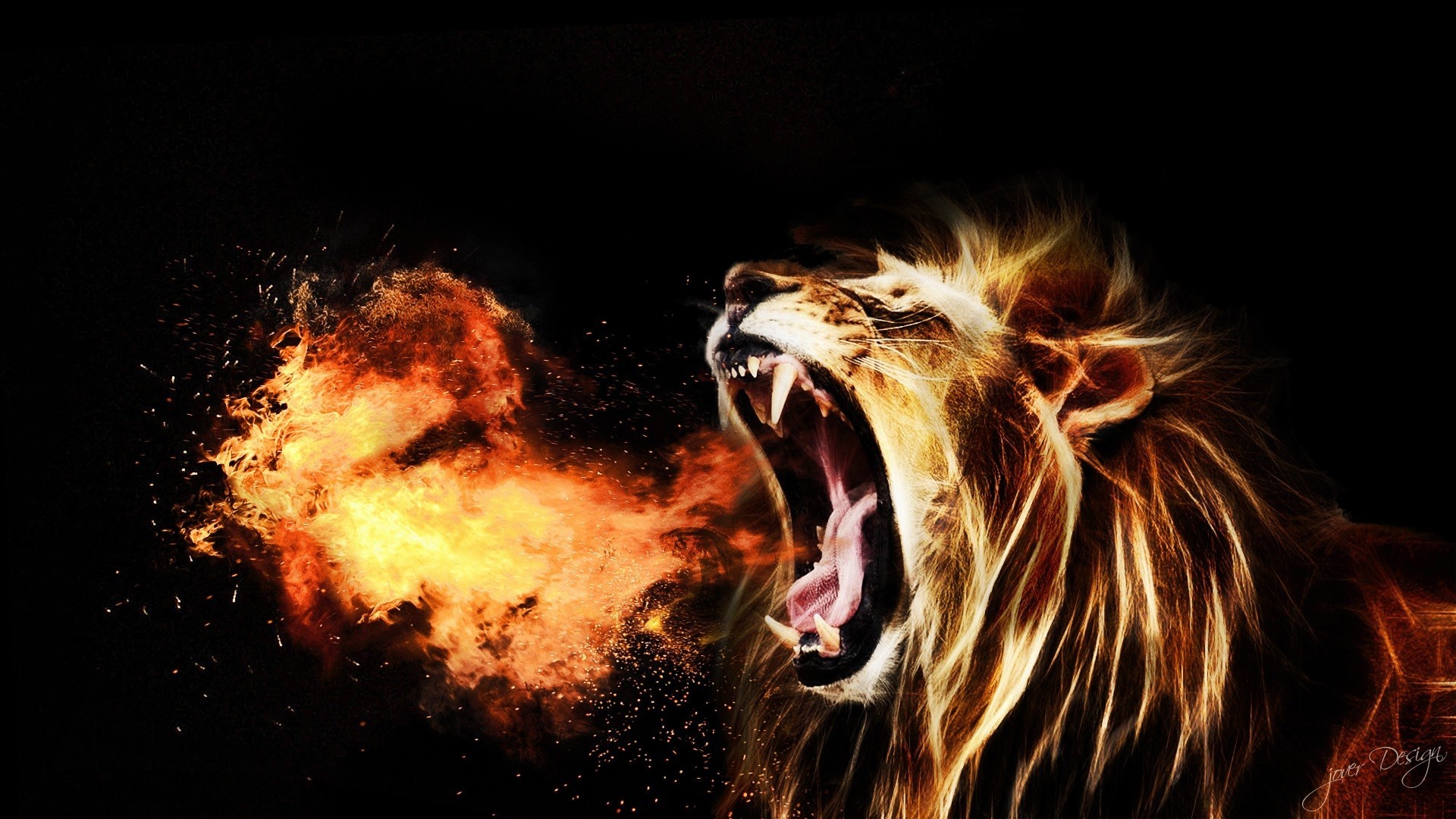 1920x1080 Lion HD Wallpapers Free Download